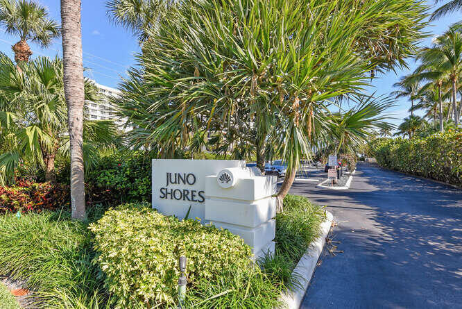 420 Celestial Way 101 Property Photo 37