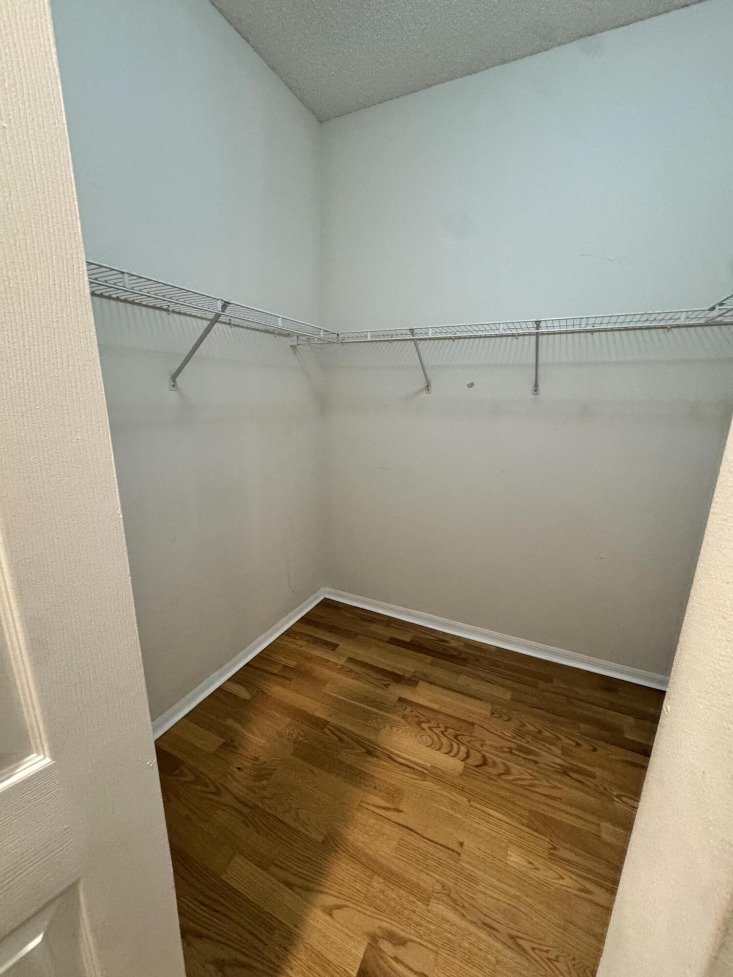 10895 Fillmore Drive Property Photo 14