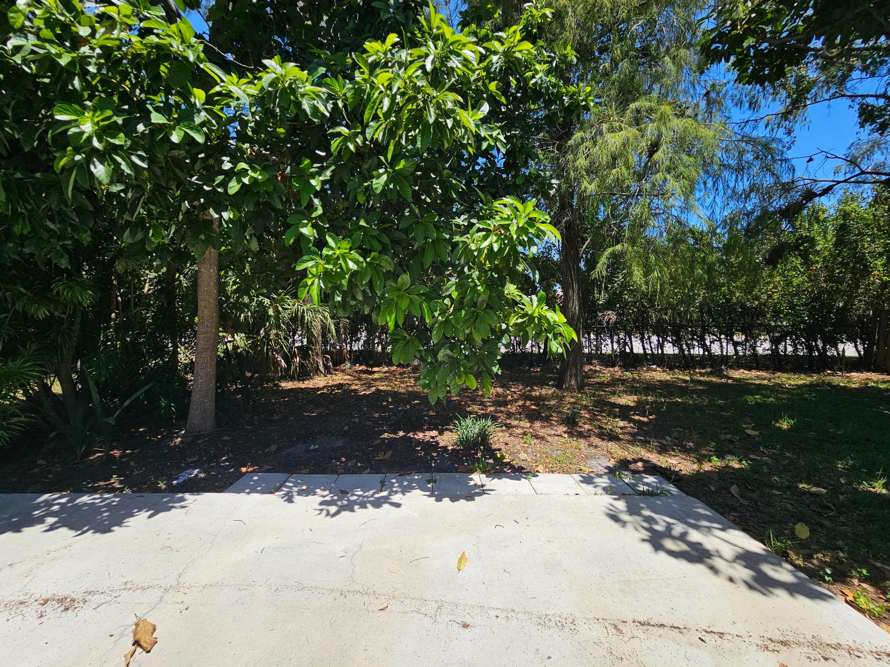 1878 Wisteria Street Property Photo 36