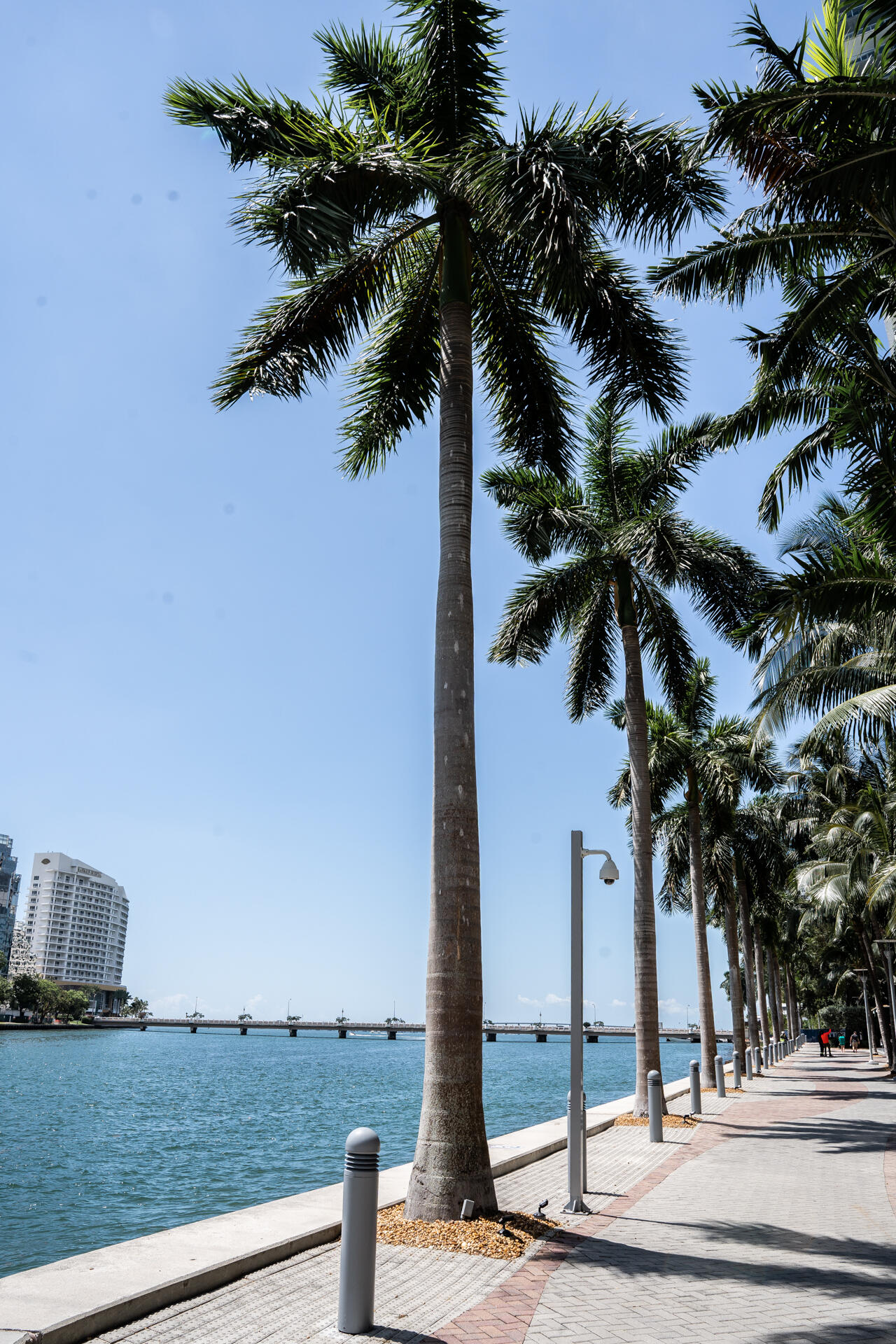 465 Brickell Avenue 5102 Property Photo 84