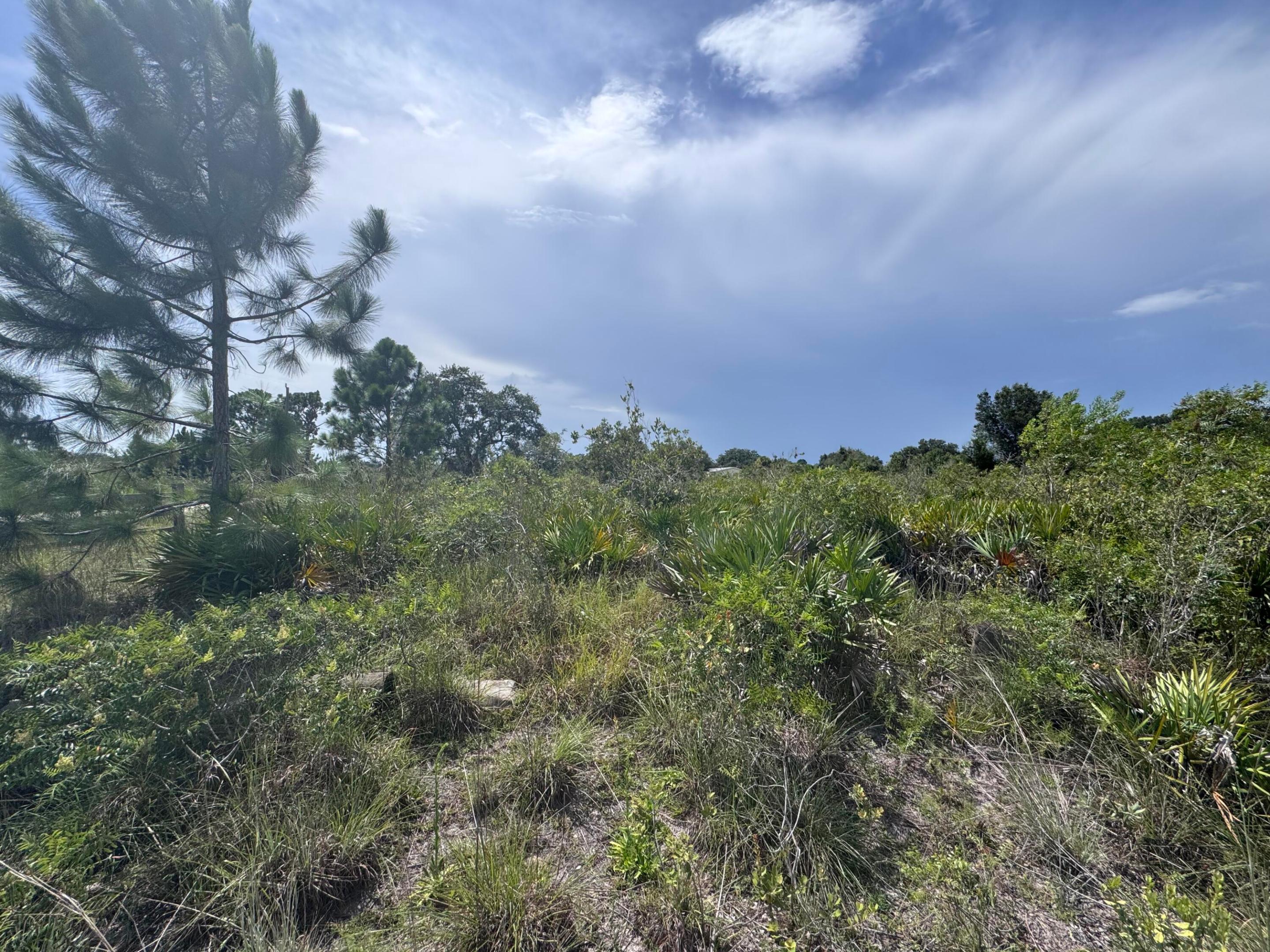 20589 Nw 254th Street Property Photo 1