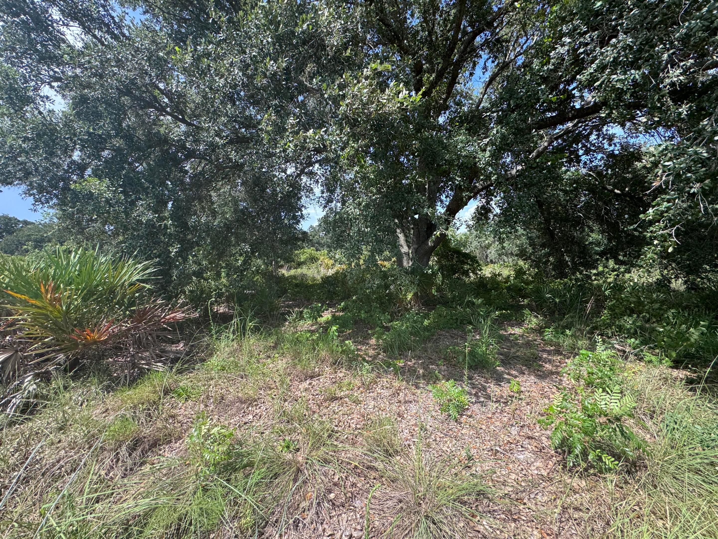 20589 Nw 254th Street Property Photo 5