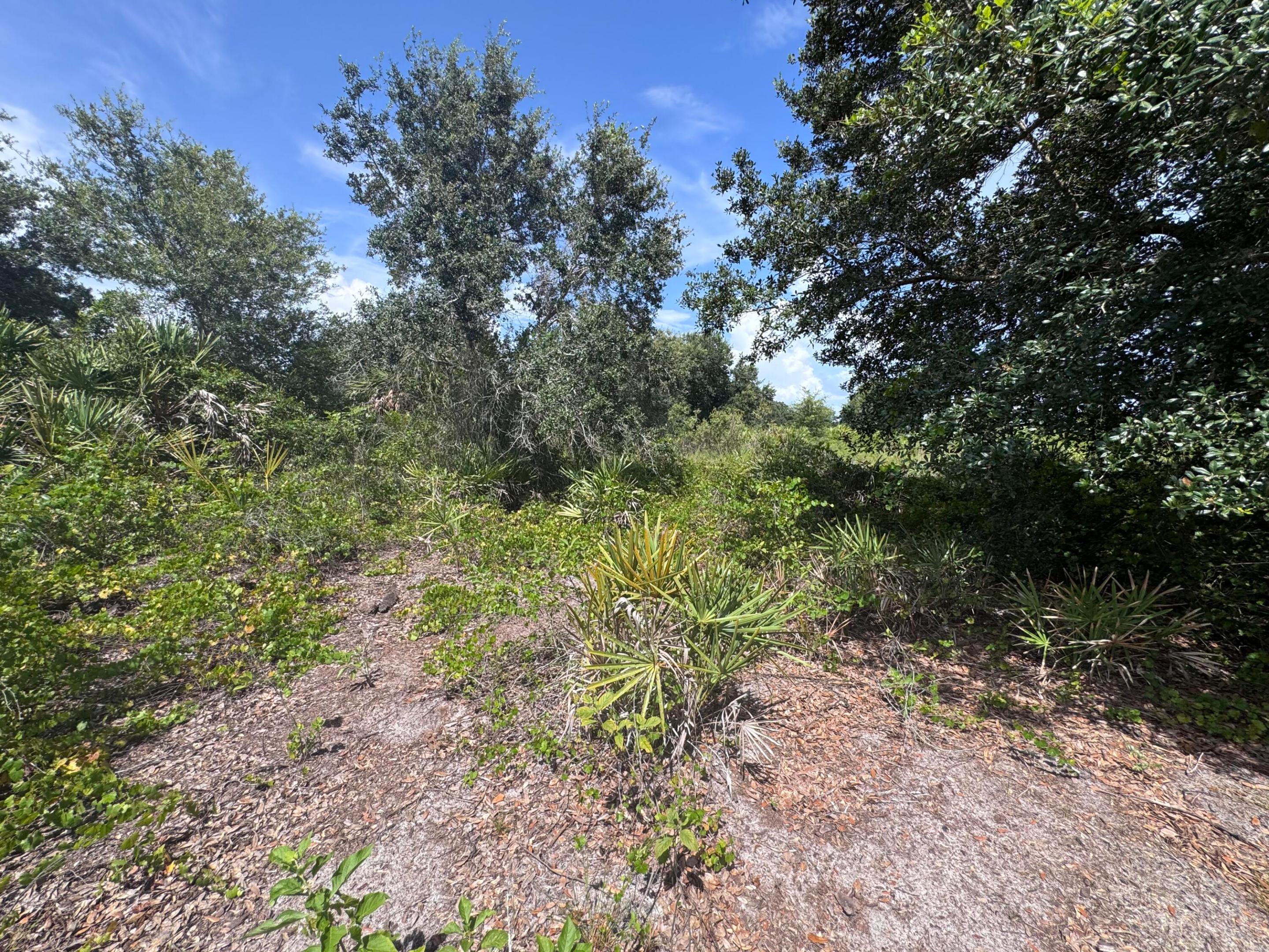 20589 Nw 254th Street Property Photo 11