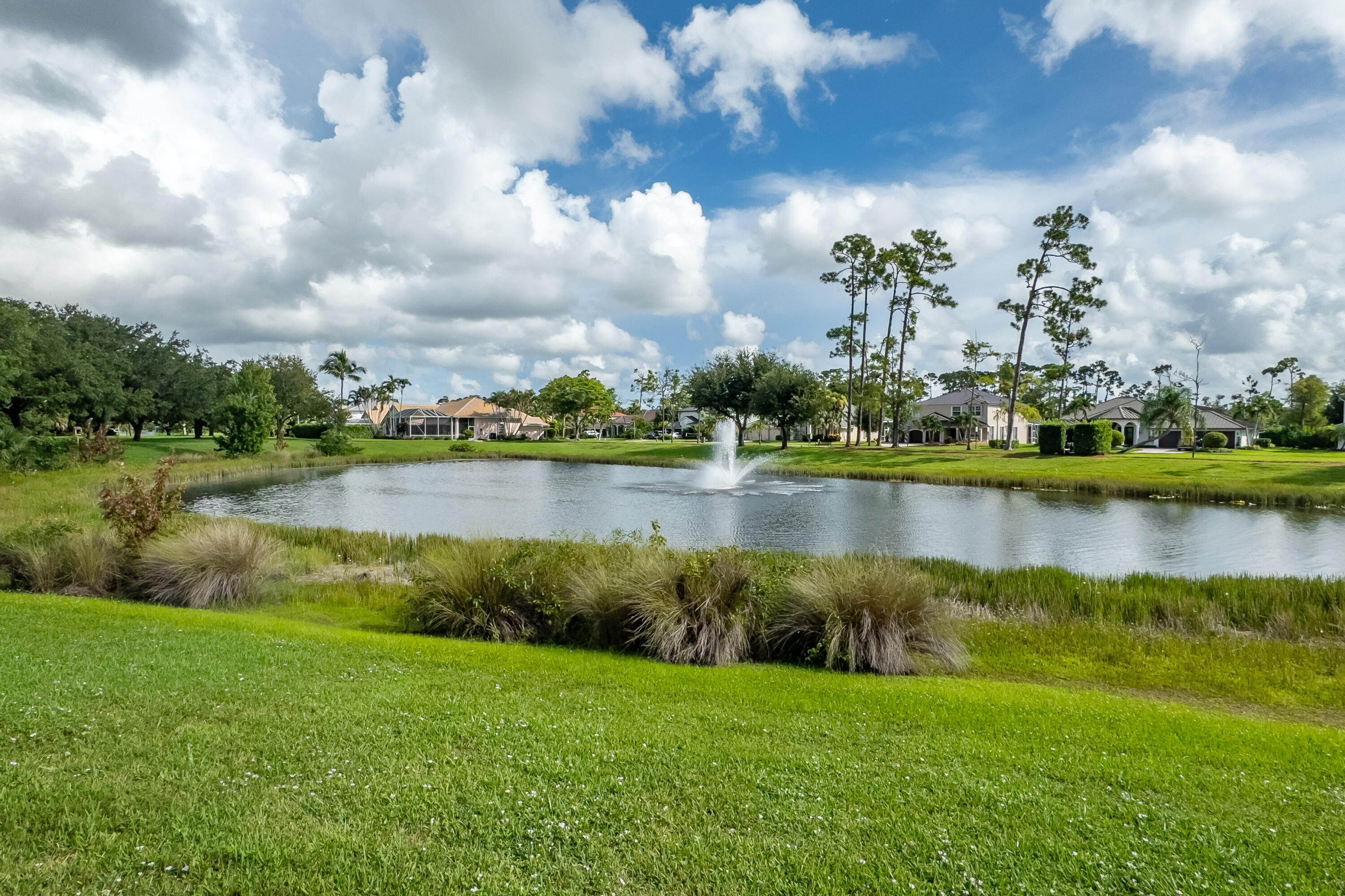 15622 Cypress Park Drive Property Photo 48