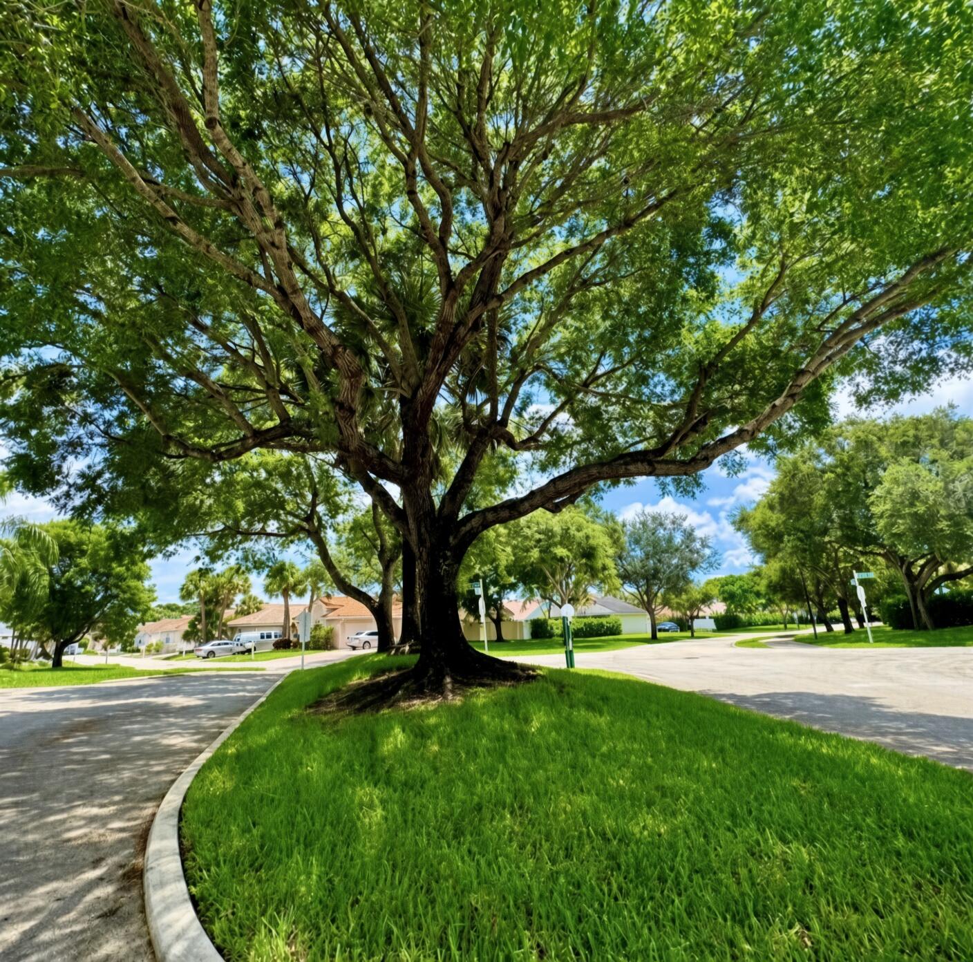 10160 Festival Way Property Photo 24