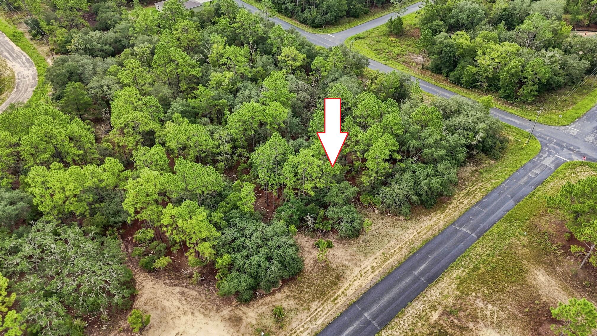 6599 N Airmont Drive Property Photo 4