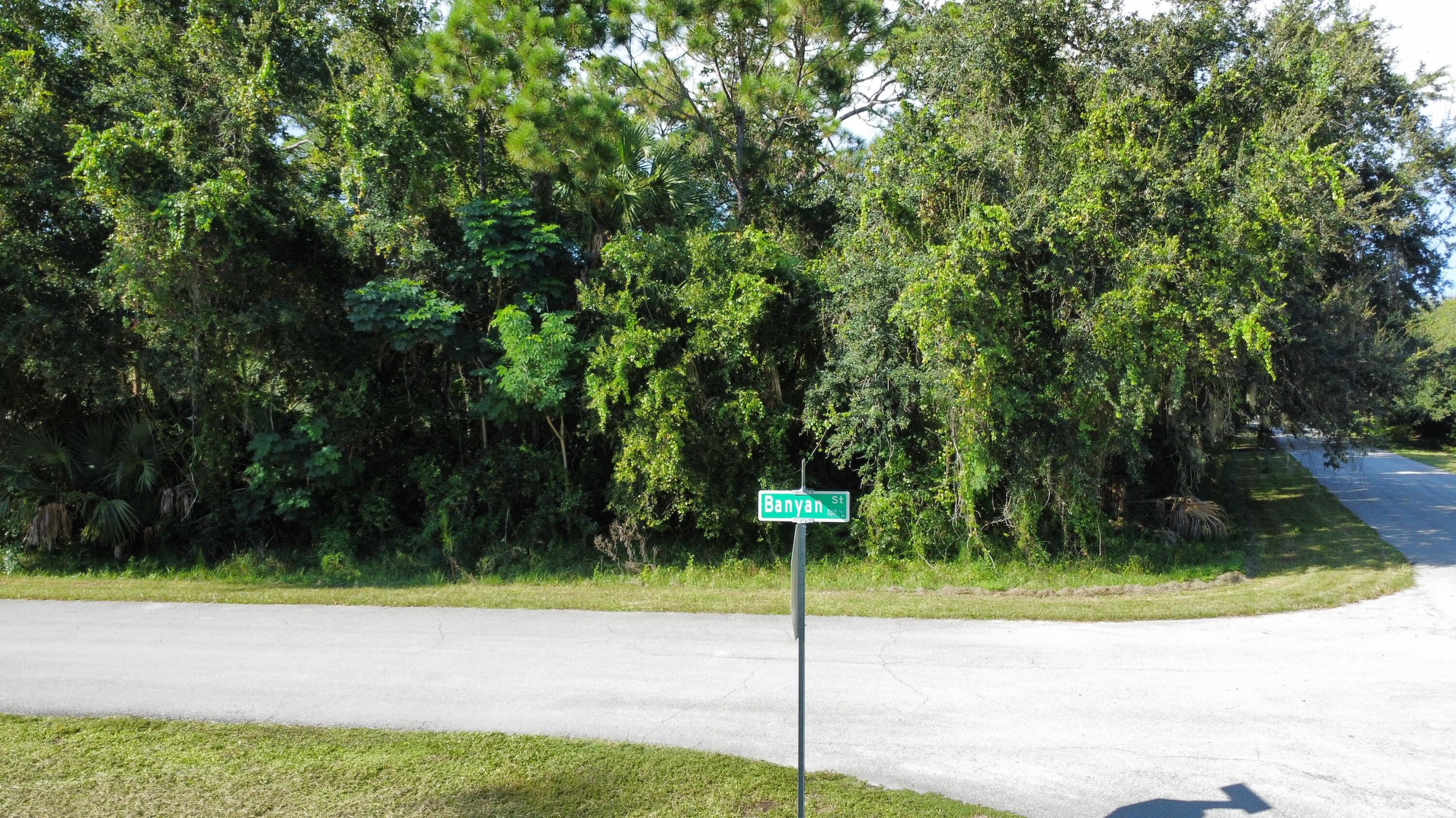 7102 Banyan Street Property Photo 1