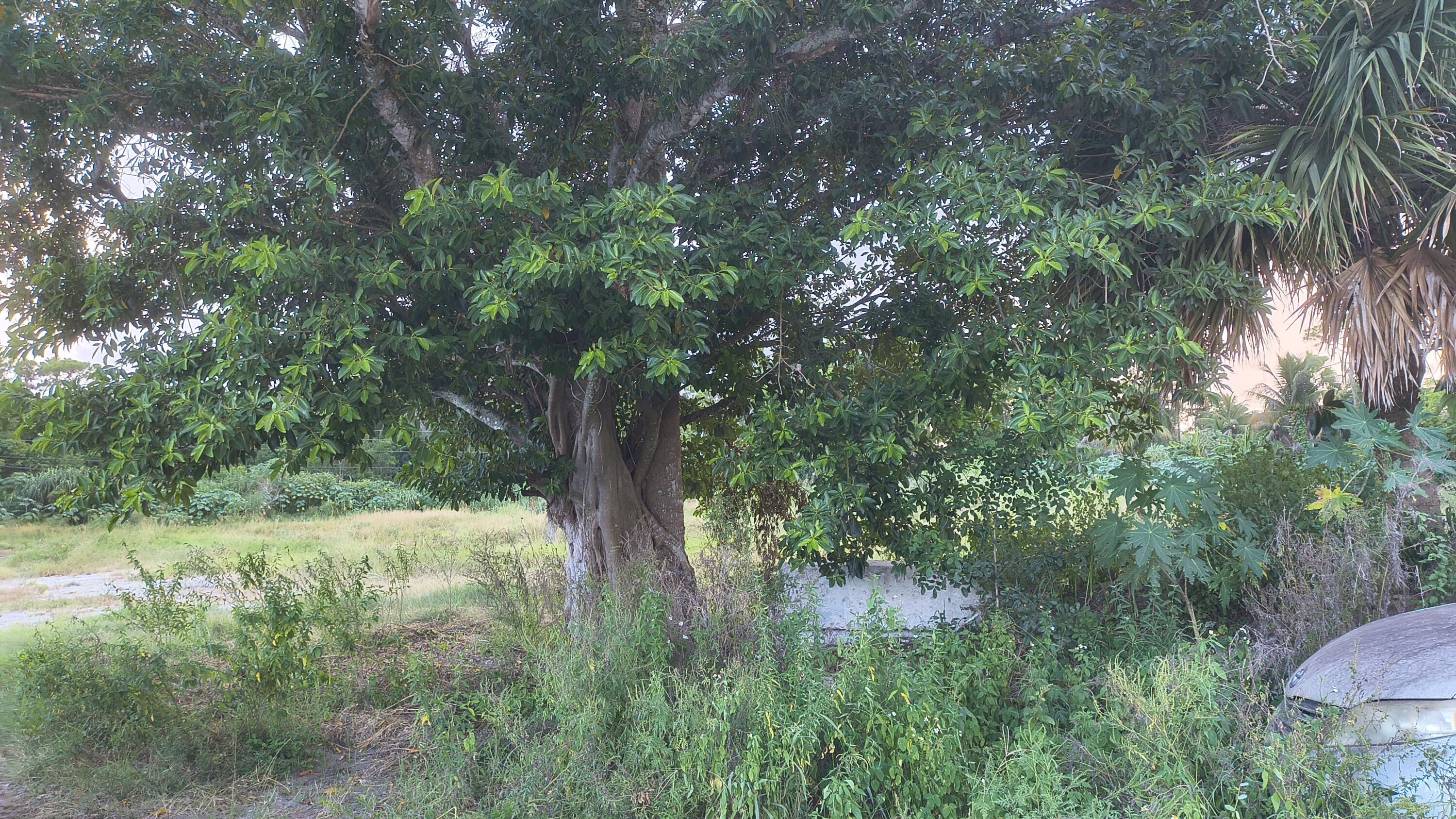 13859 Okeechobee Boulevard Property Photo 8
