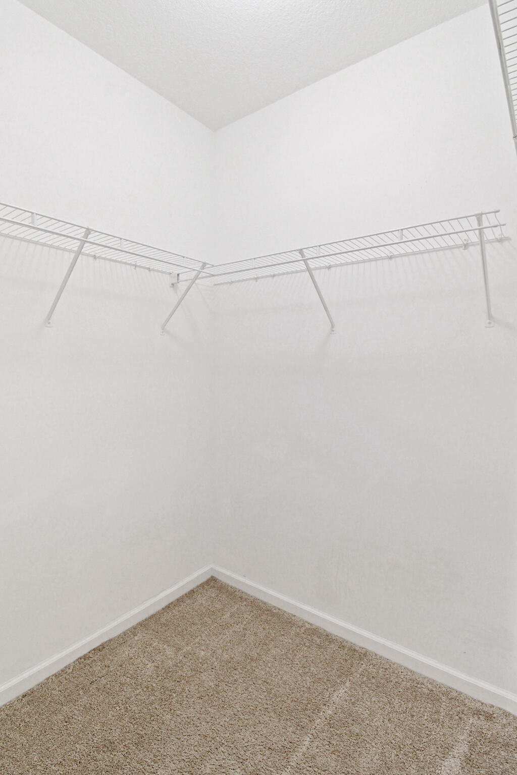 6688 Lurais Drive Property Photo 28