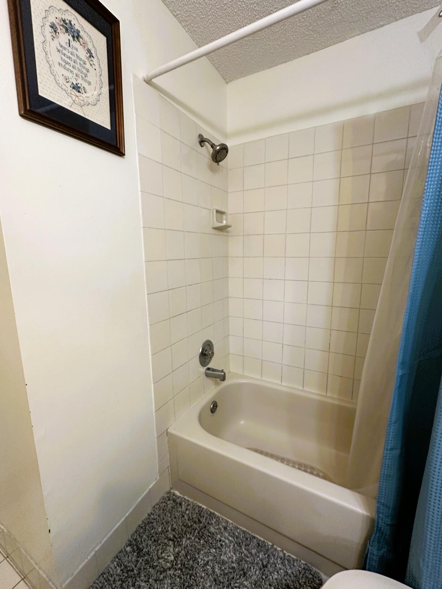 1040 Parkside Green Drive C Property Photo 19