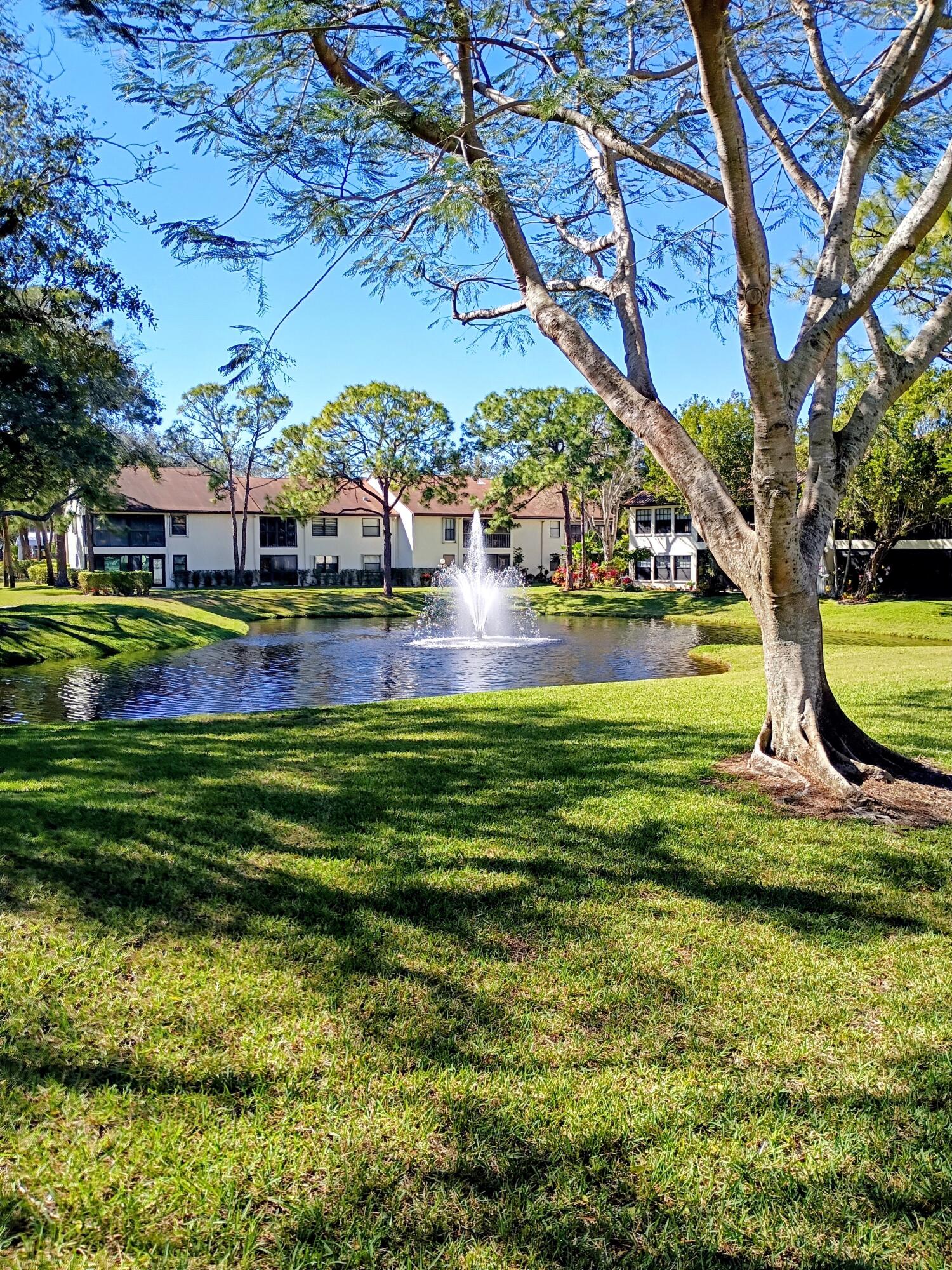 3451 Jog Park Drive Property Photo 1