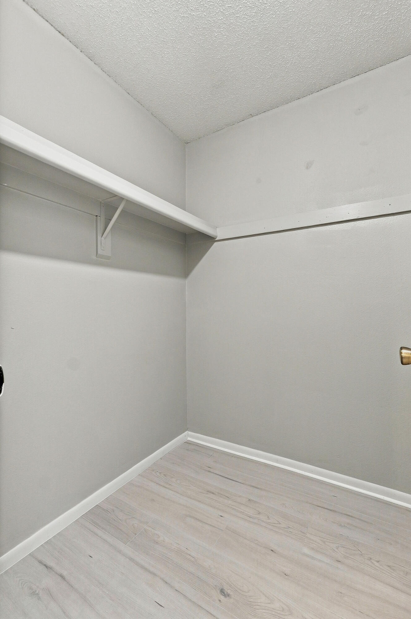 111 Jersey Woods Court Property Photo 30