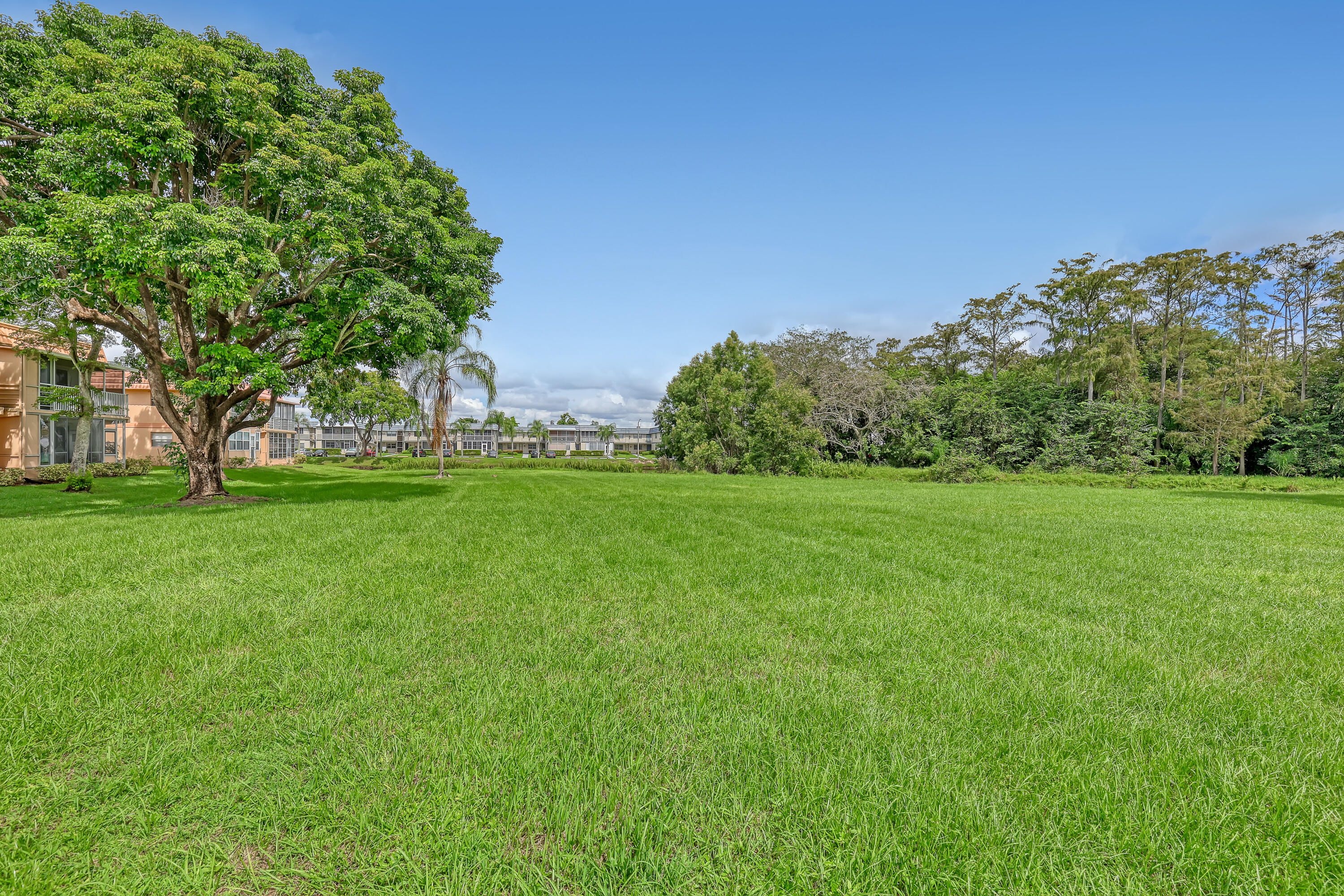 611 Saxony M Park Property Photo 2