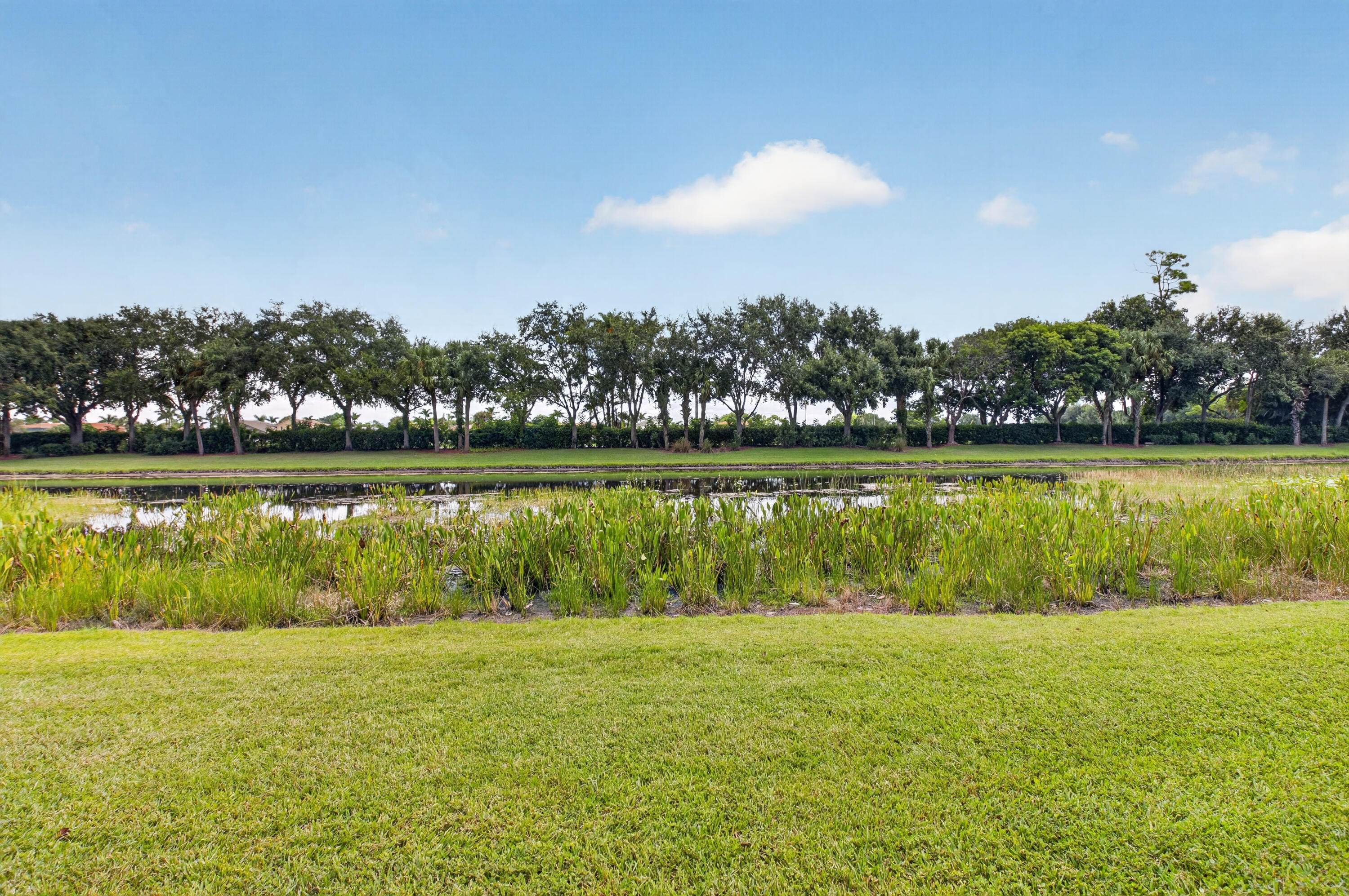 6561 Pisano Drive Property Photo 45