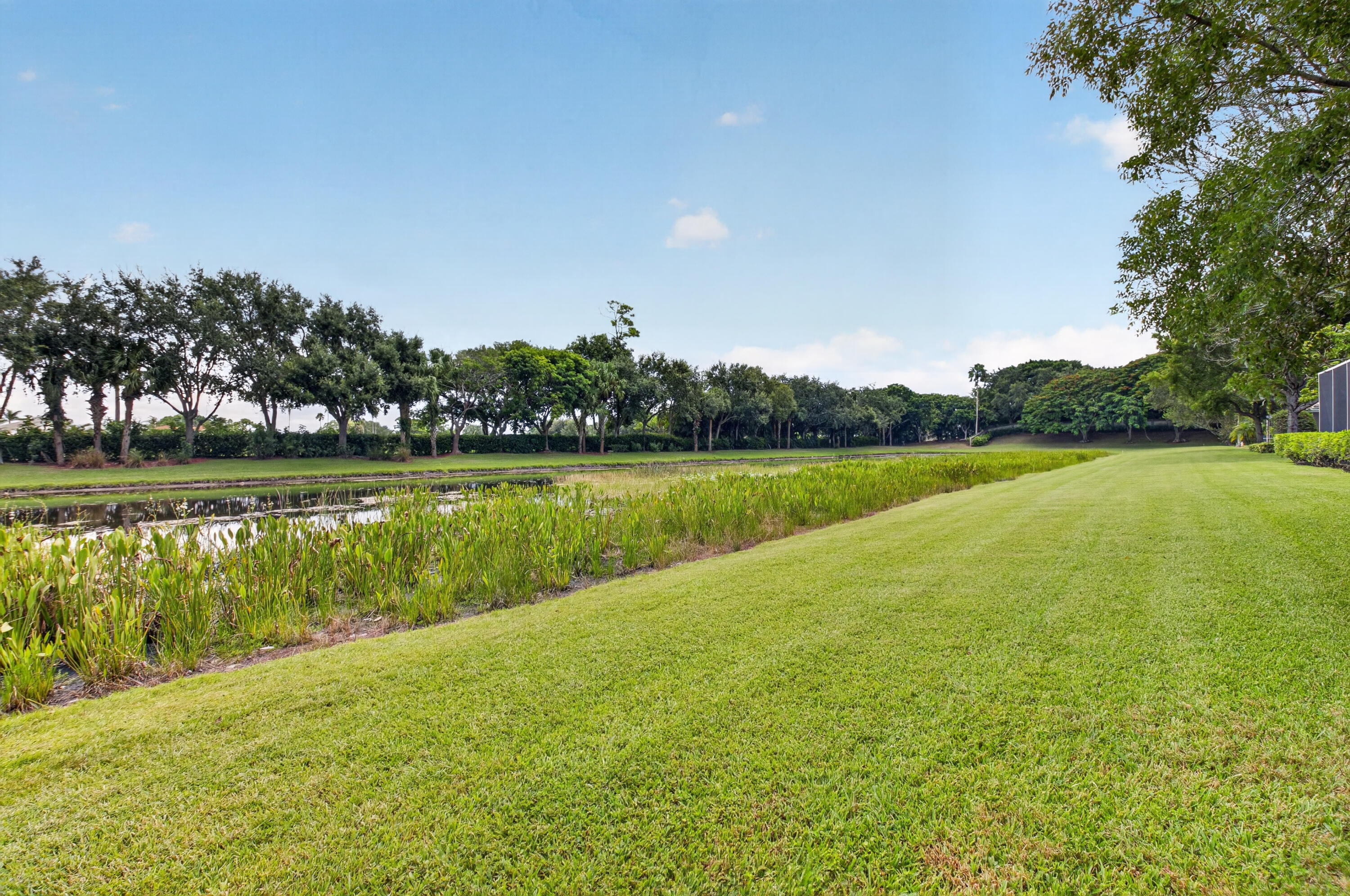 6561 Pisano Drive Property Photo 46