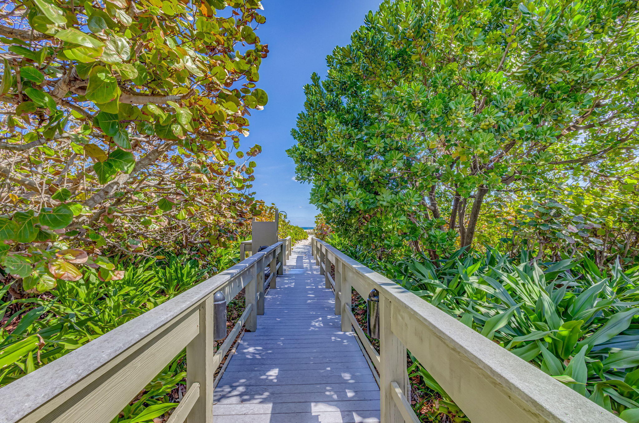 3400 N Ocean Drive Ph Property Photo 97