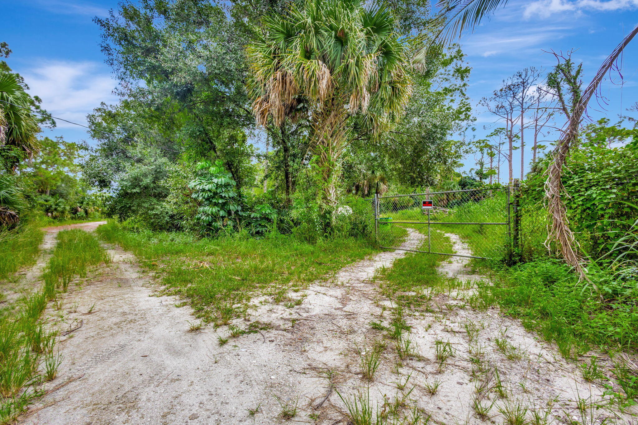 15532 43rd Street N Property Photo 21