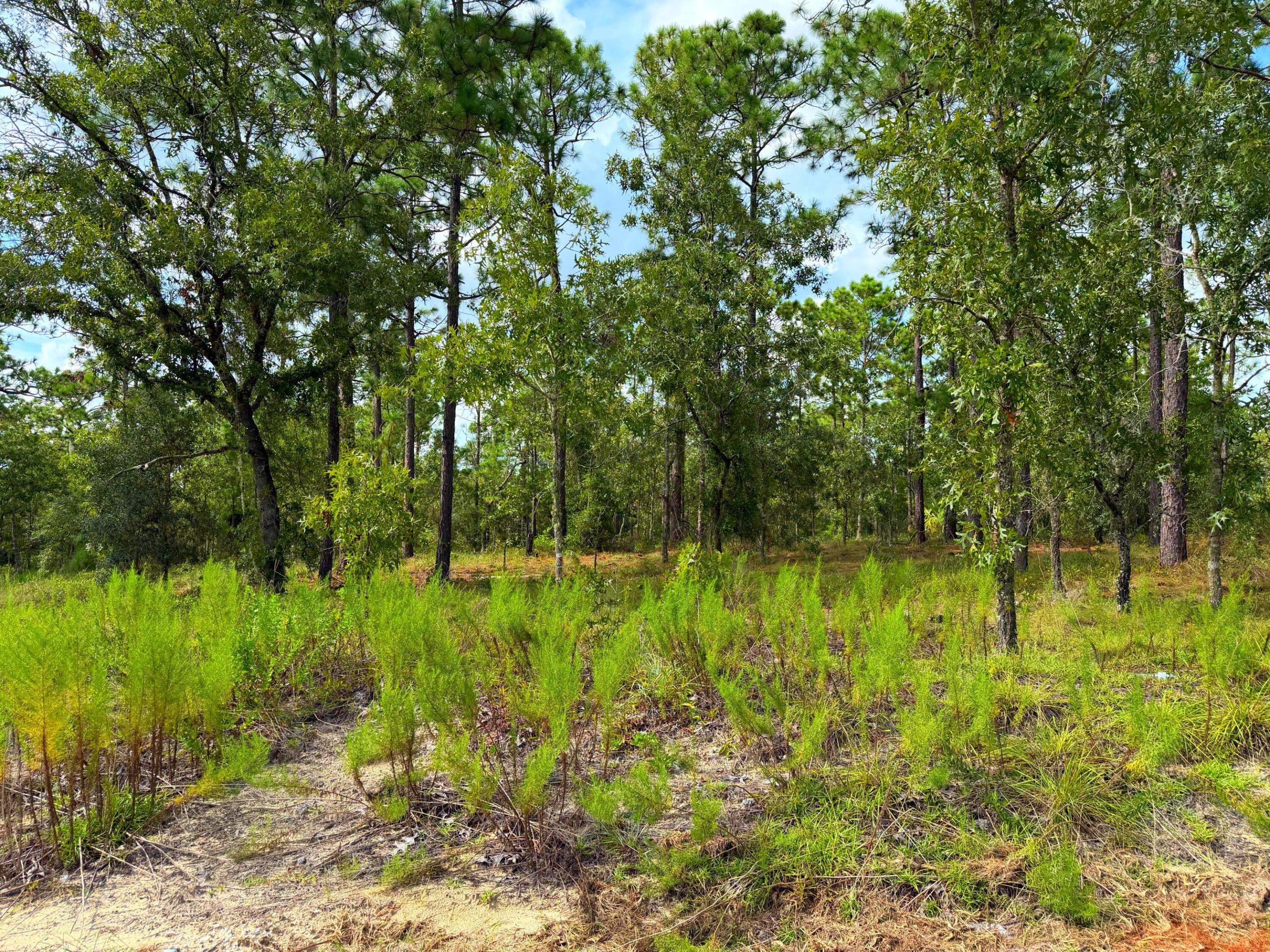 23701 Nw Water Oak Avenue Property Photo 9