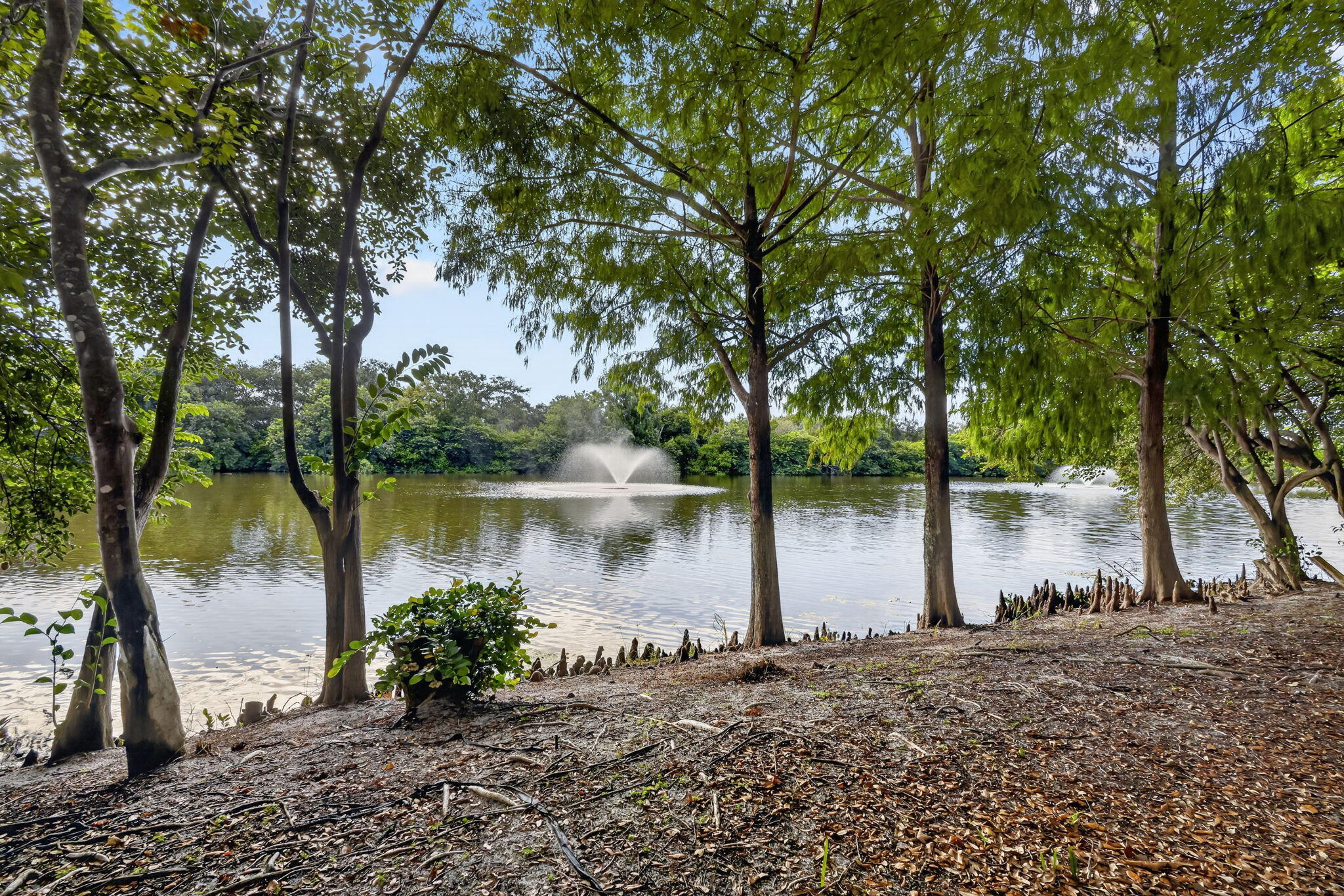 2899 S Greenleaf Circle Property Photo 39