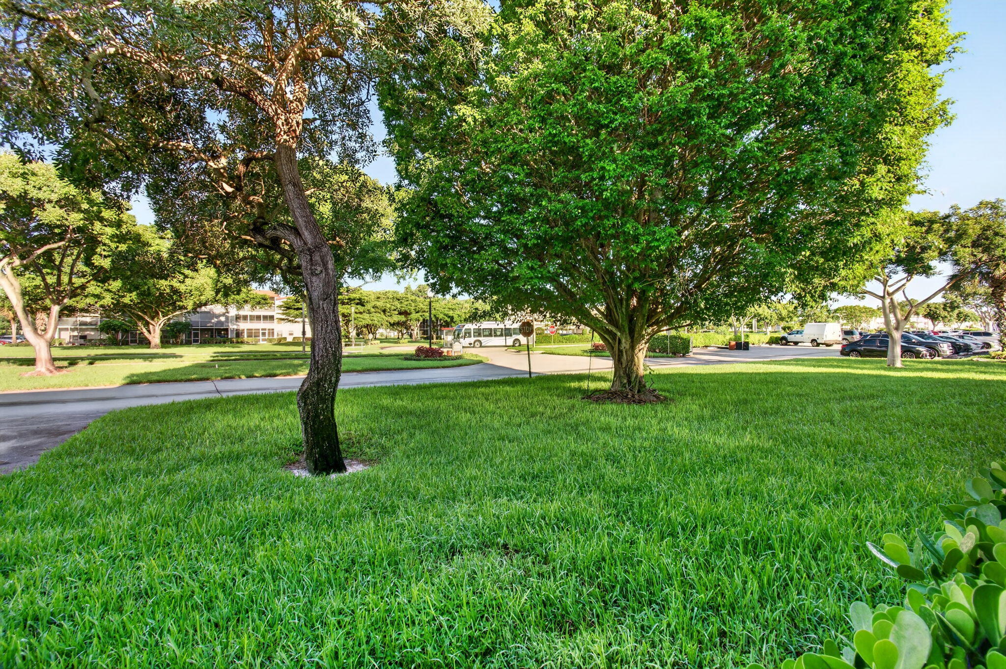 45 Dorset B Property Photo 42