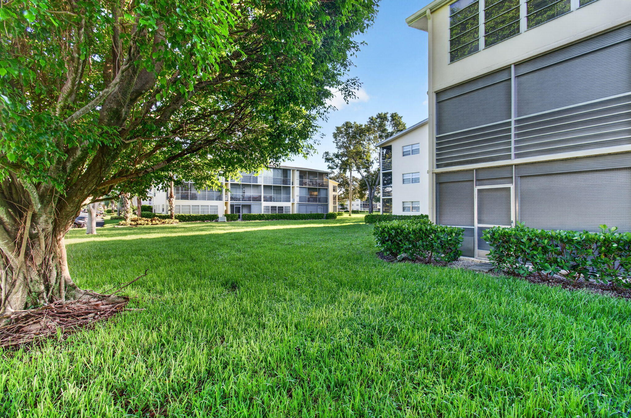 45 Dorset B Property Photo 53