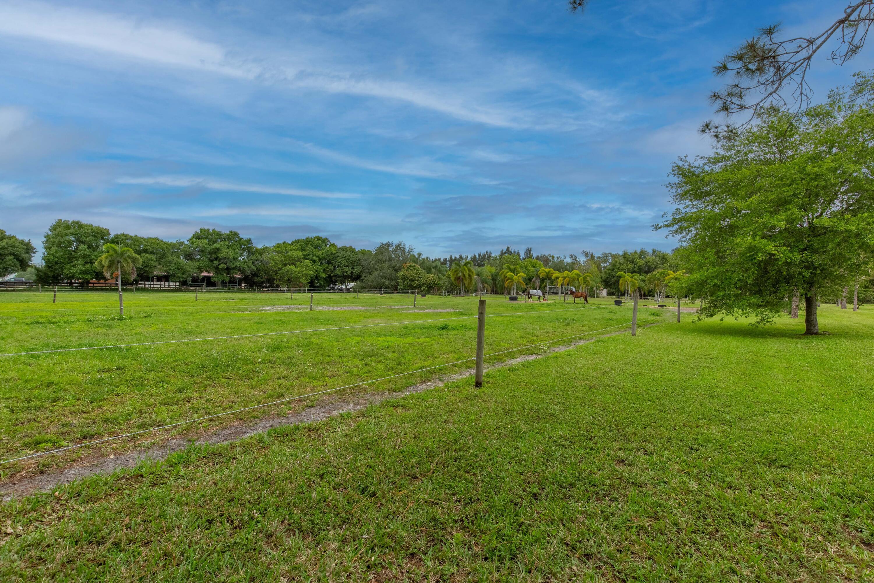 16639 Hollow Tree Lane Property Photo 9