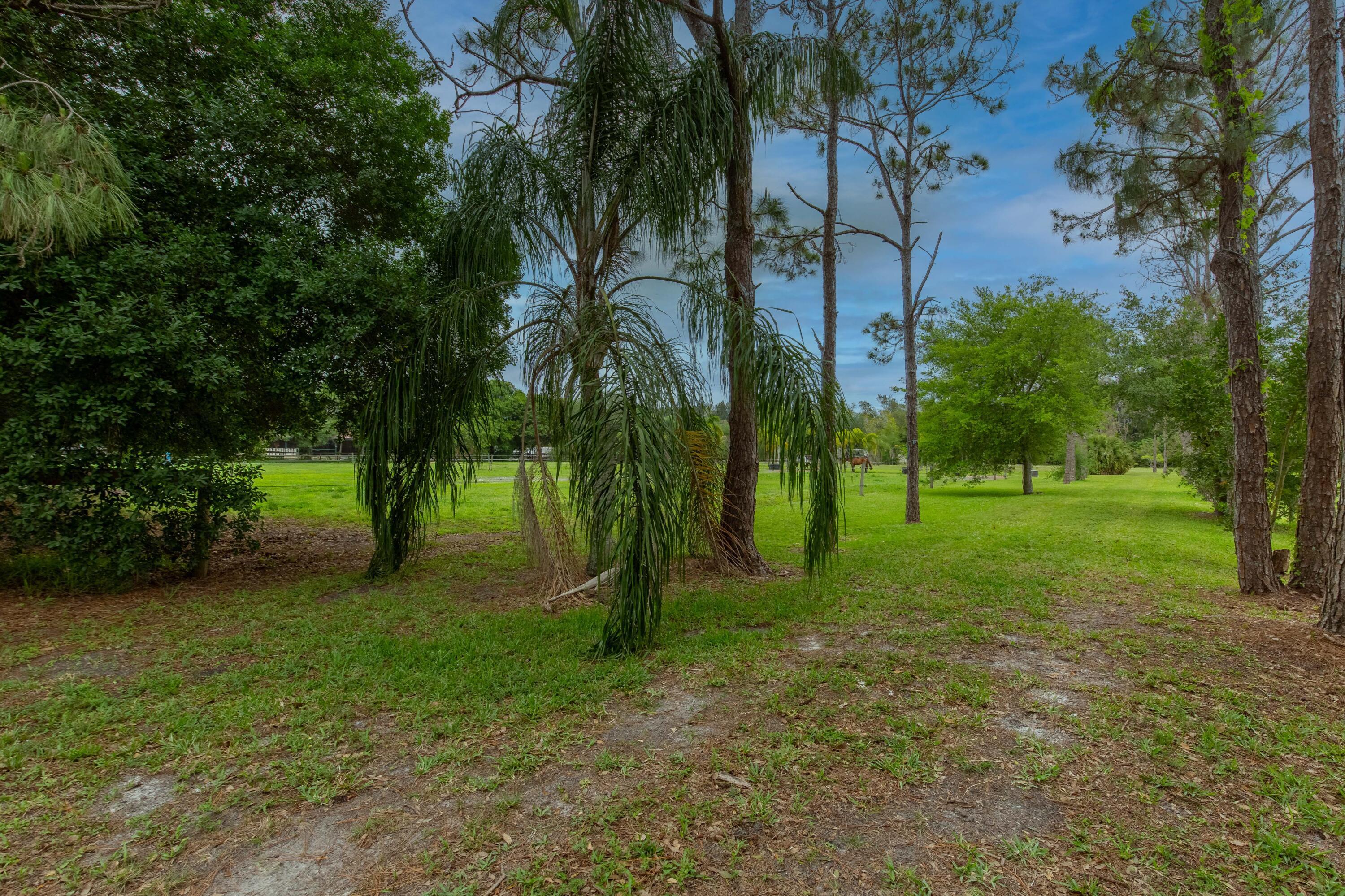 16639 Hollow Tree Lane Property Photo 10