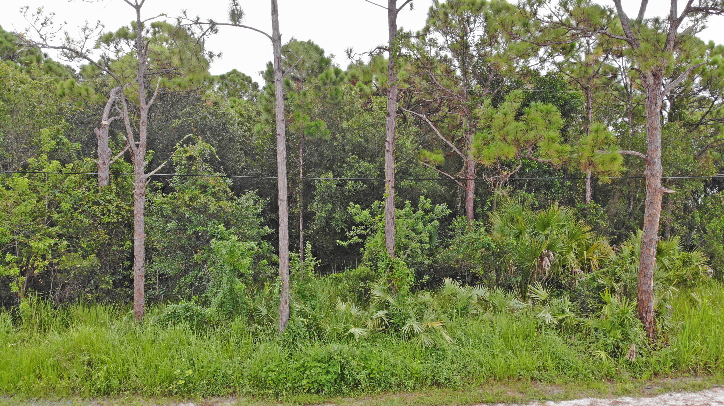 Tbd Shanas Trail Property Photo 10