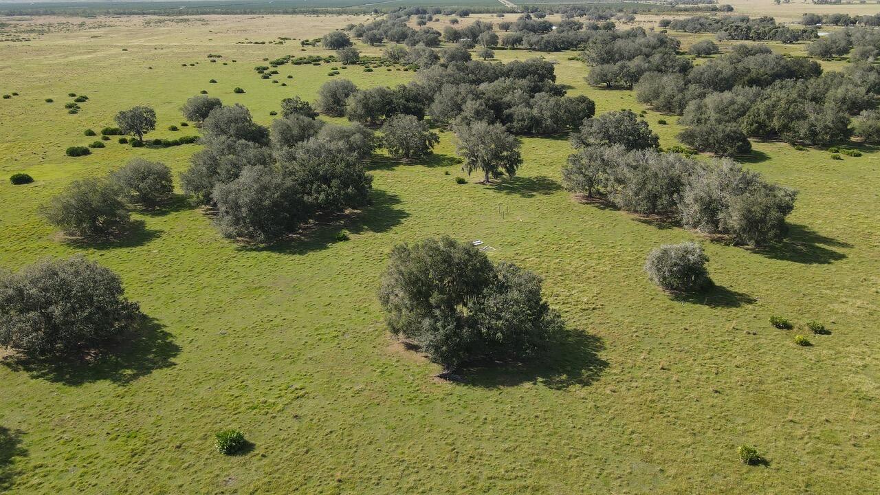 101 Percheron Trail Property Photo 1