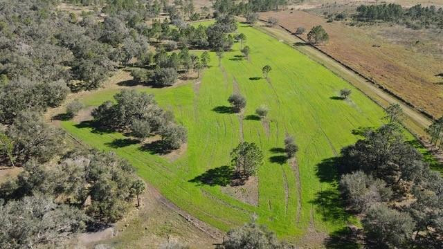 545 New Boot Heel Road Property Photo 6