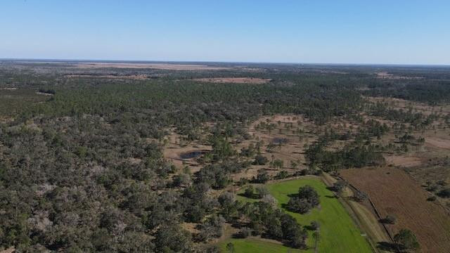 545 New Boot Heel Road Property Photo 14