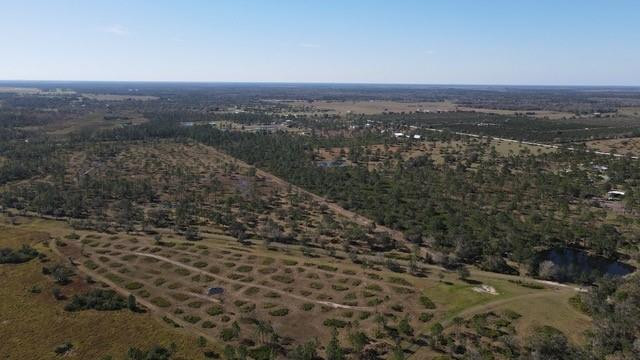 545 New Boot Heel Road Property Photo 15