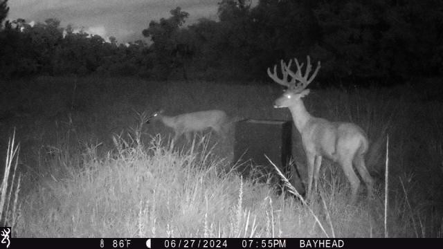 545 New Boot Heel Road Property Photo 16