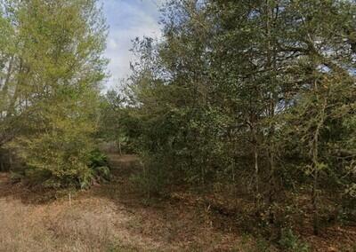 Tba Lenore Avenue Property Photo 1