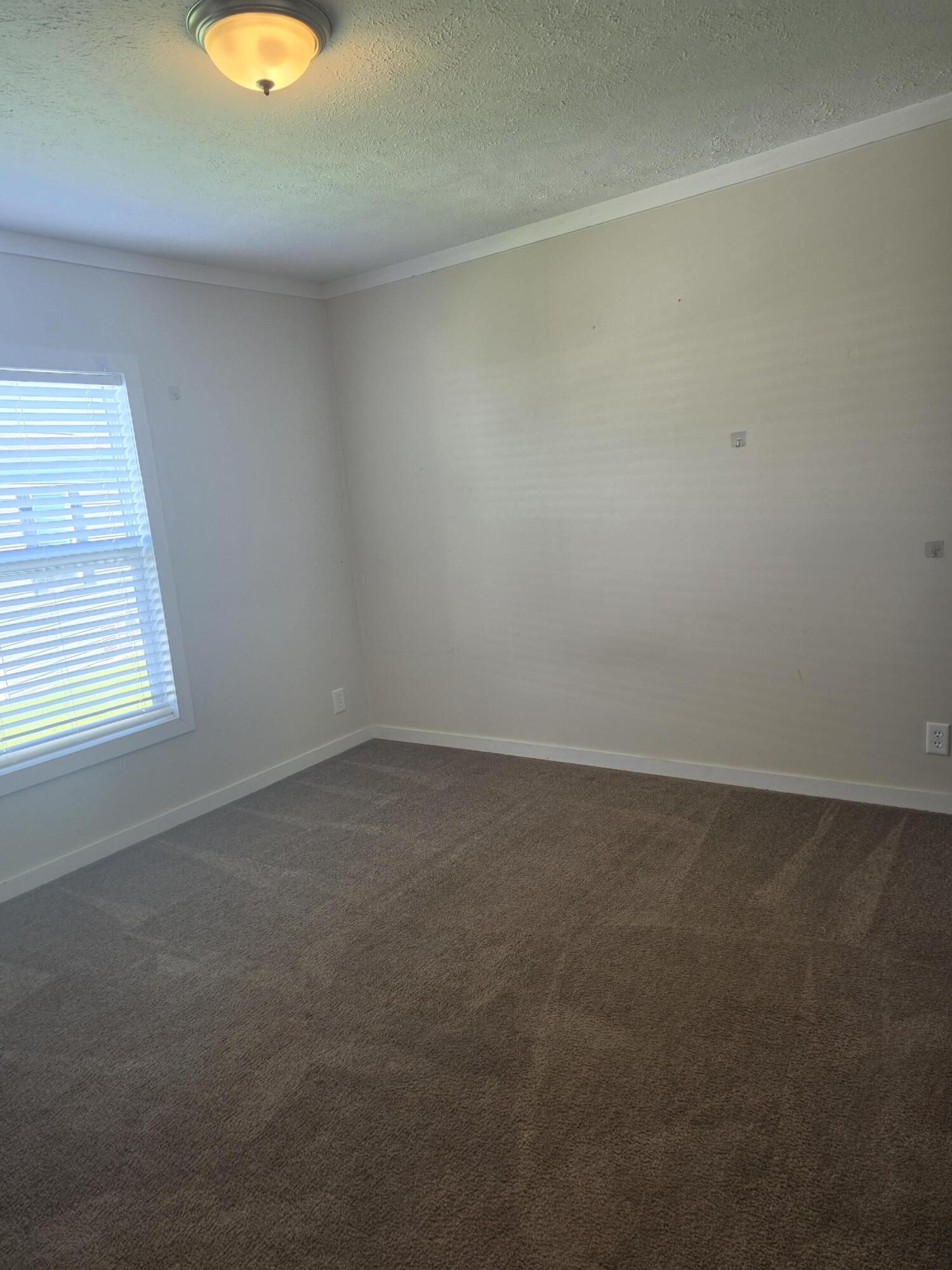 202 Flamingo Avenue Property Photo 12
