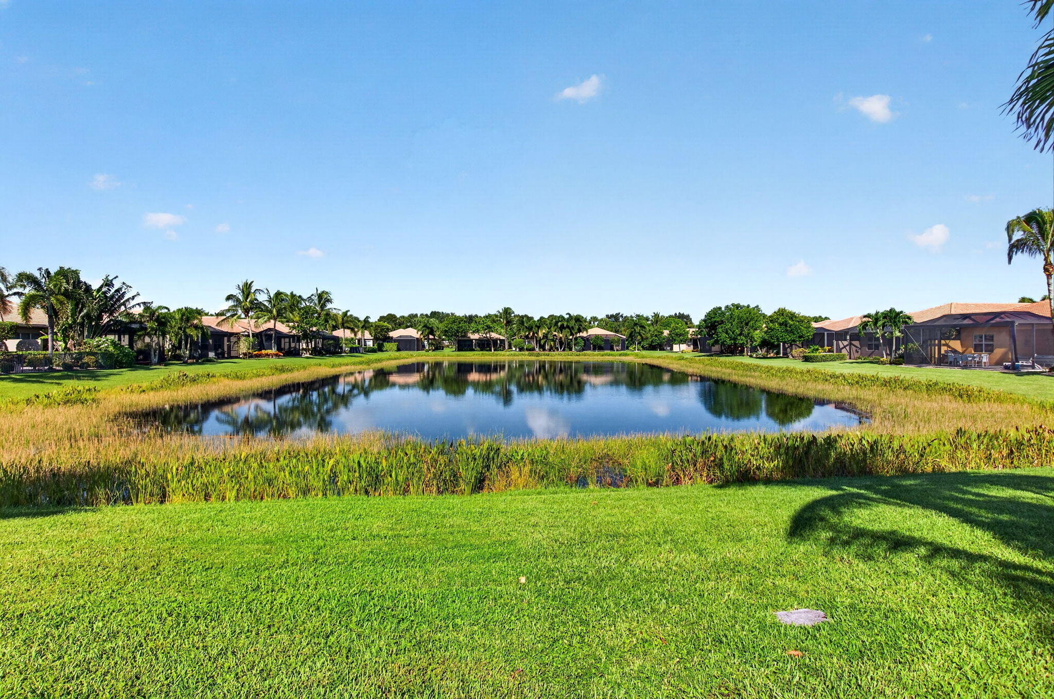 11584 Dawson Range Road Property Photo 54
