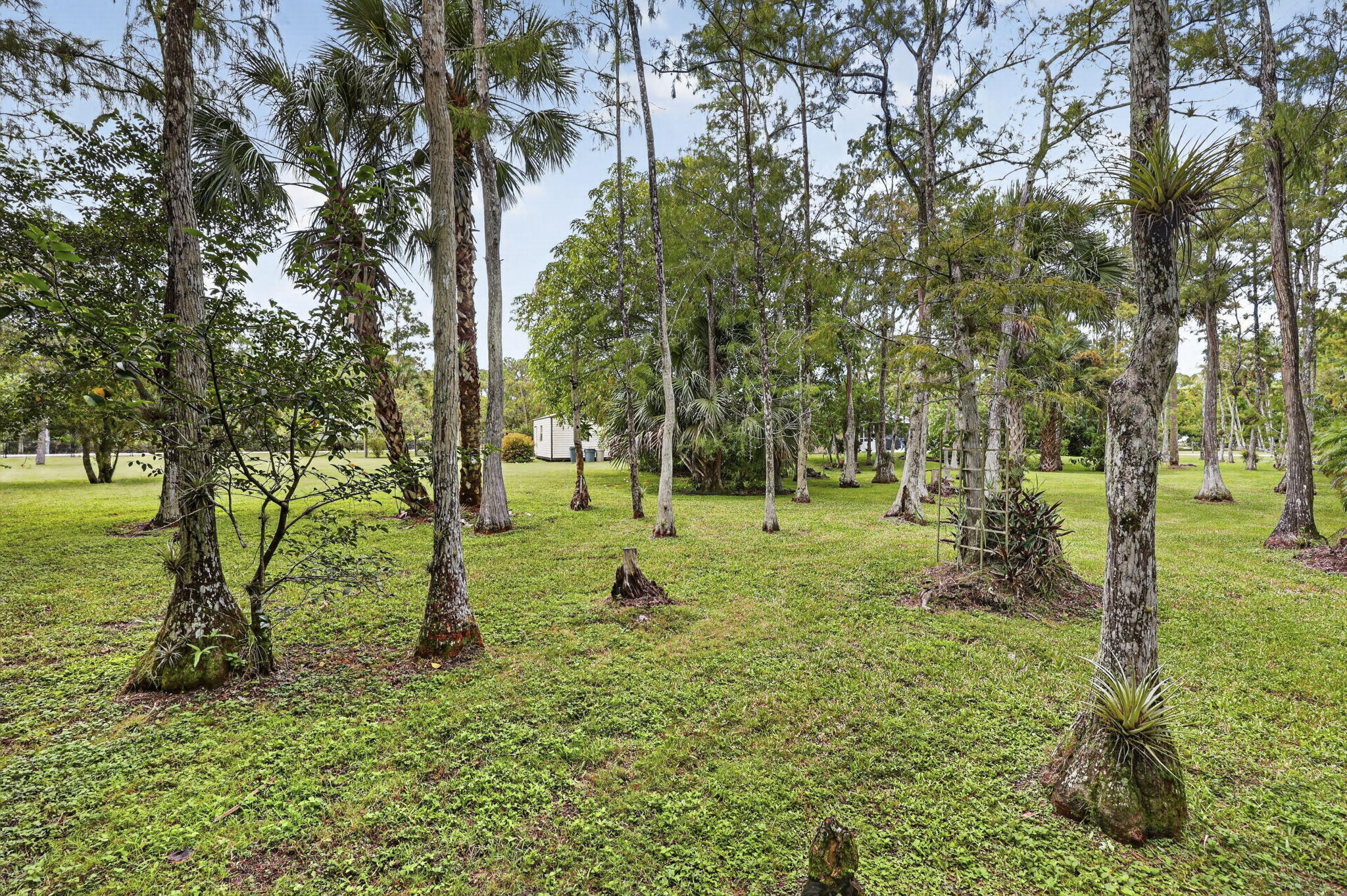 16477 Orange Boulevard Property Photo 40