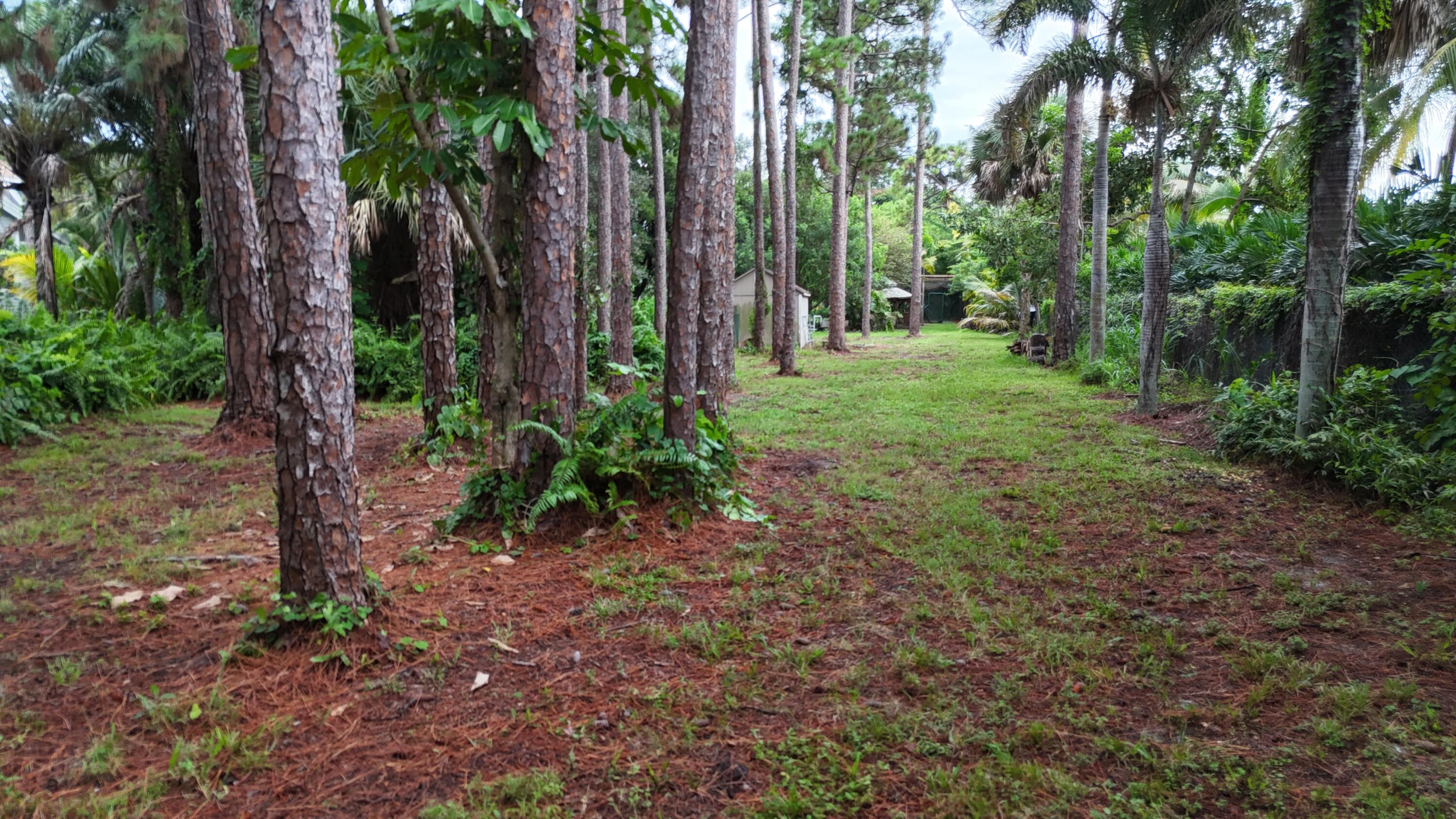 4786 Ridgewood Road E Property Photo 77