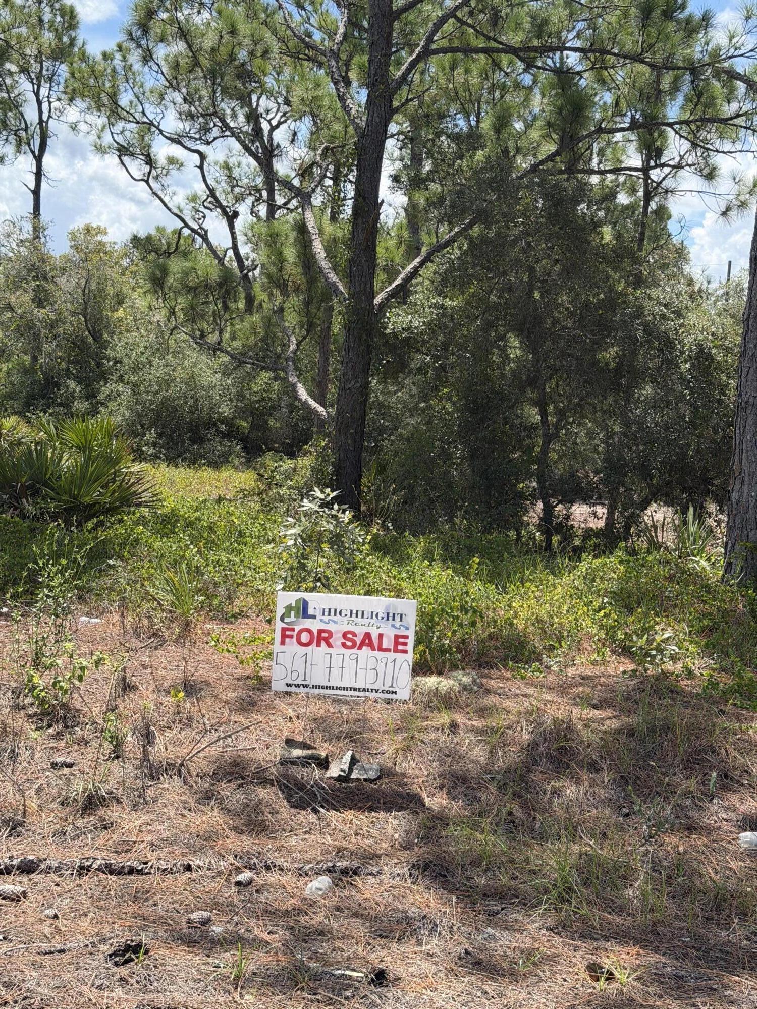 391 Marionette Avenue Property Photo 2