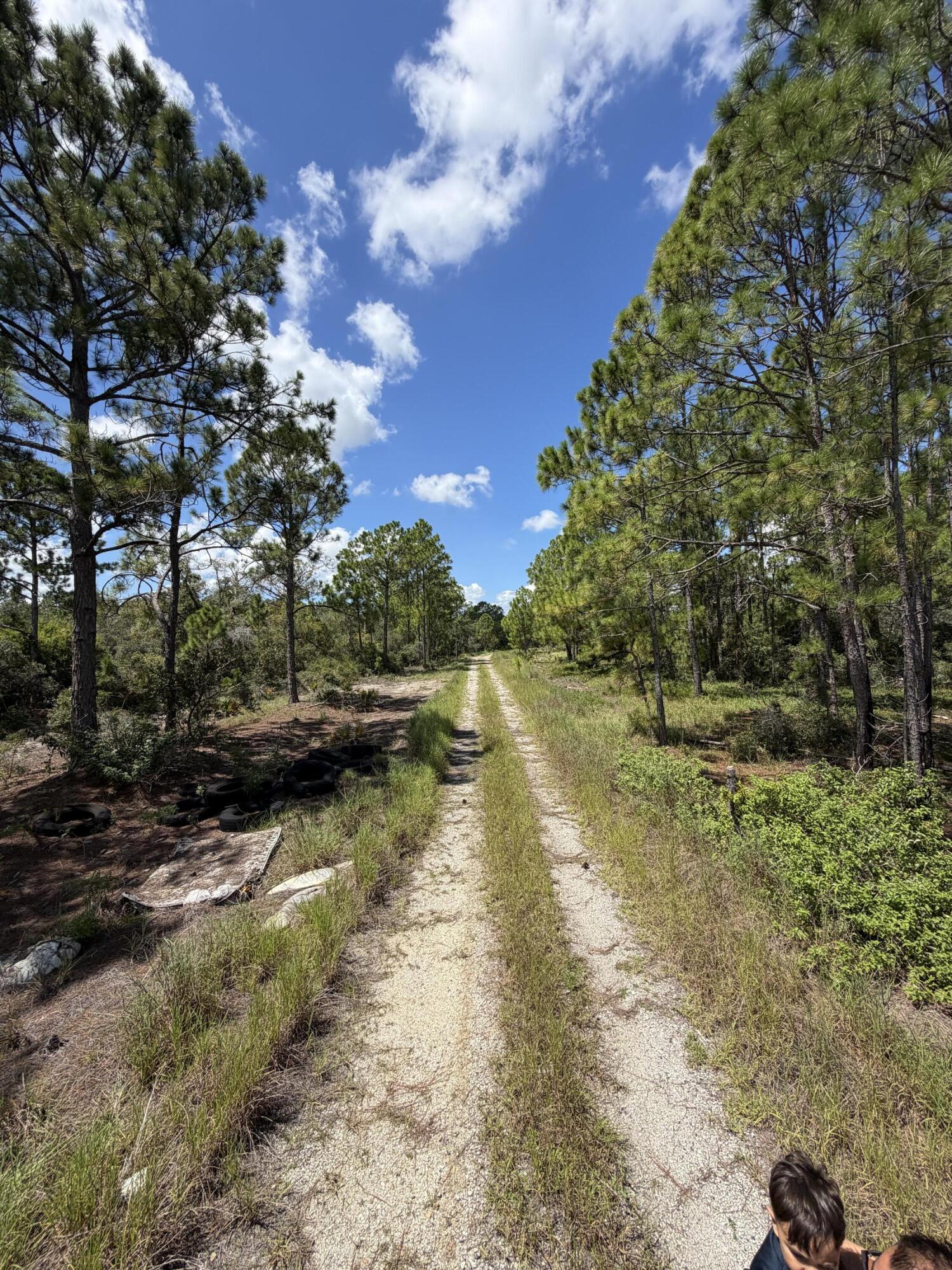 391 Marionette Avenue Property Photo 5