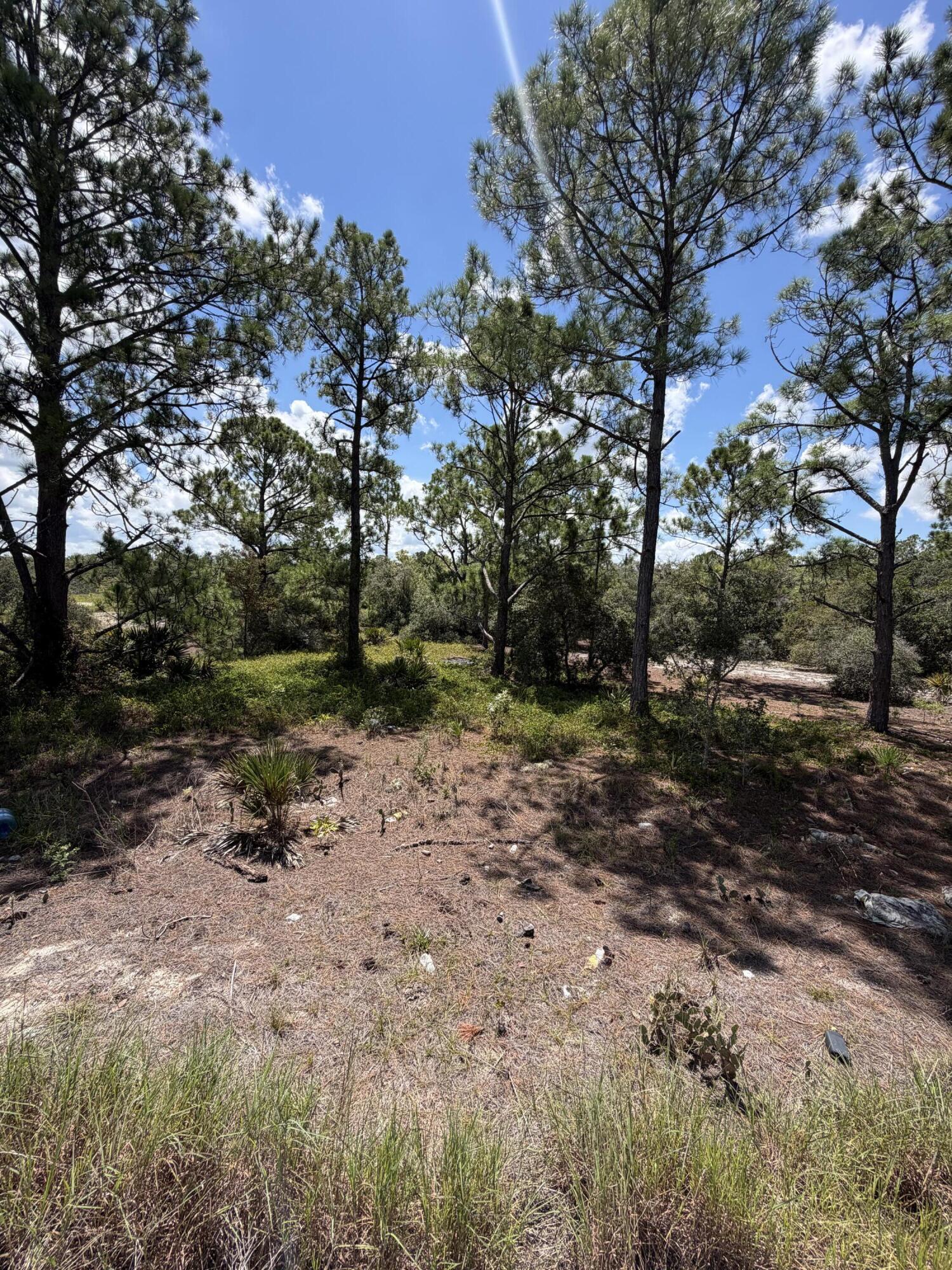 391 Marionette Avenue Property Photo 6