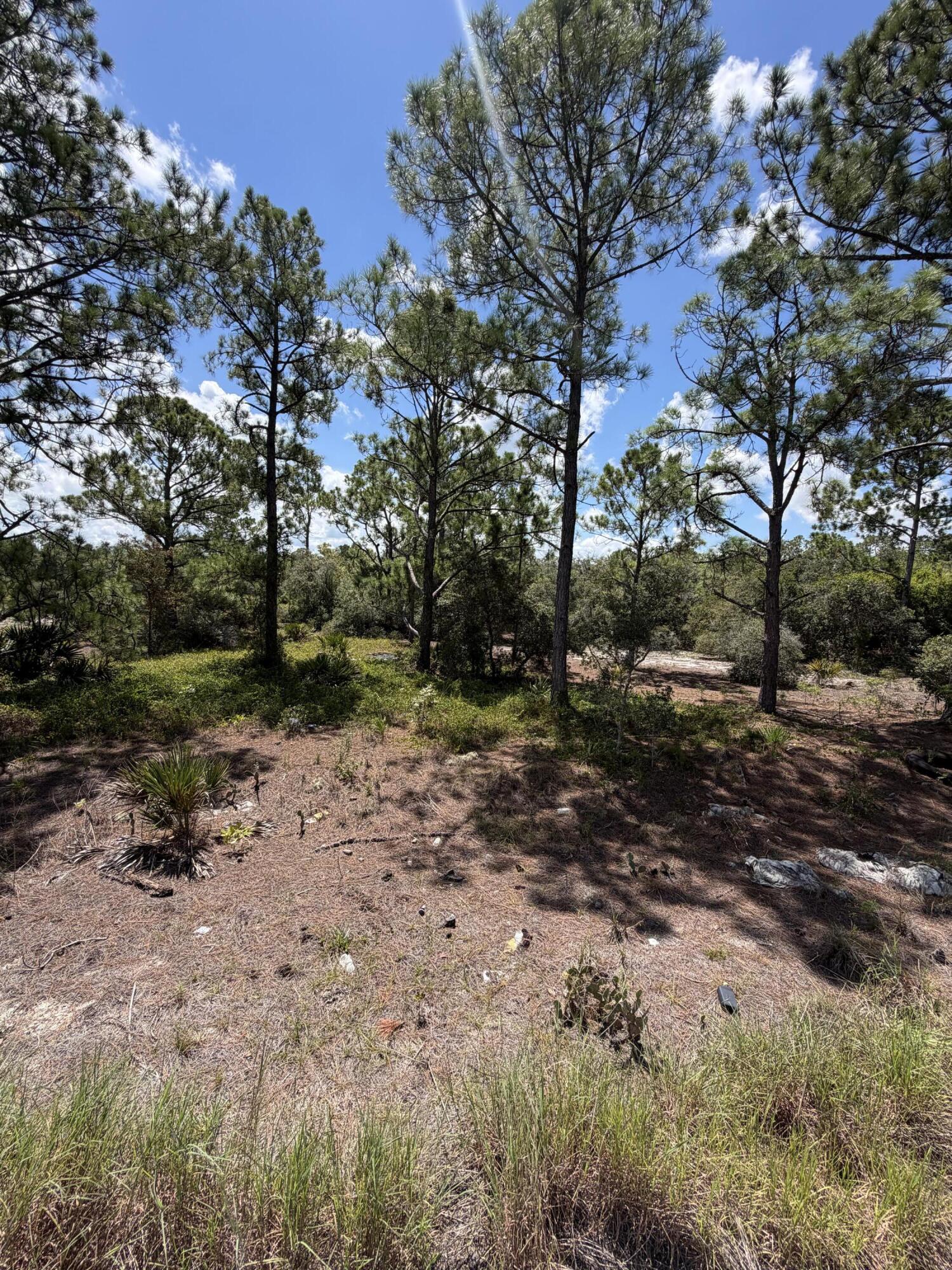 391 Marionette Avenue Property Photo 7