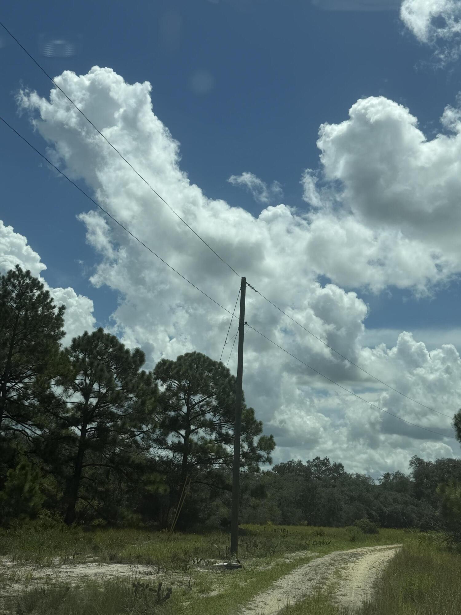 391 Marionette Avenue Property Photo 8