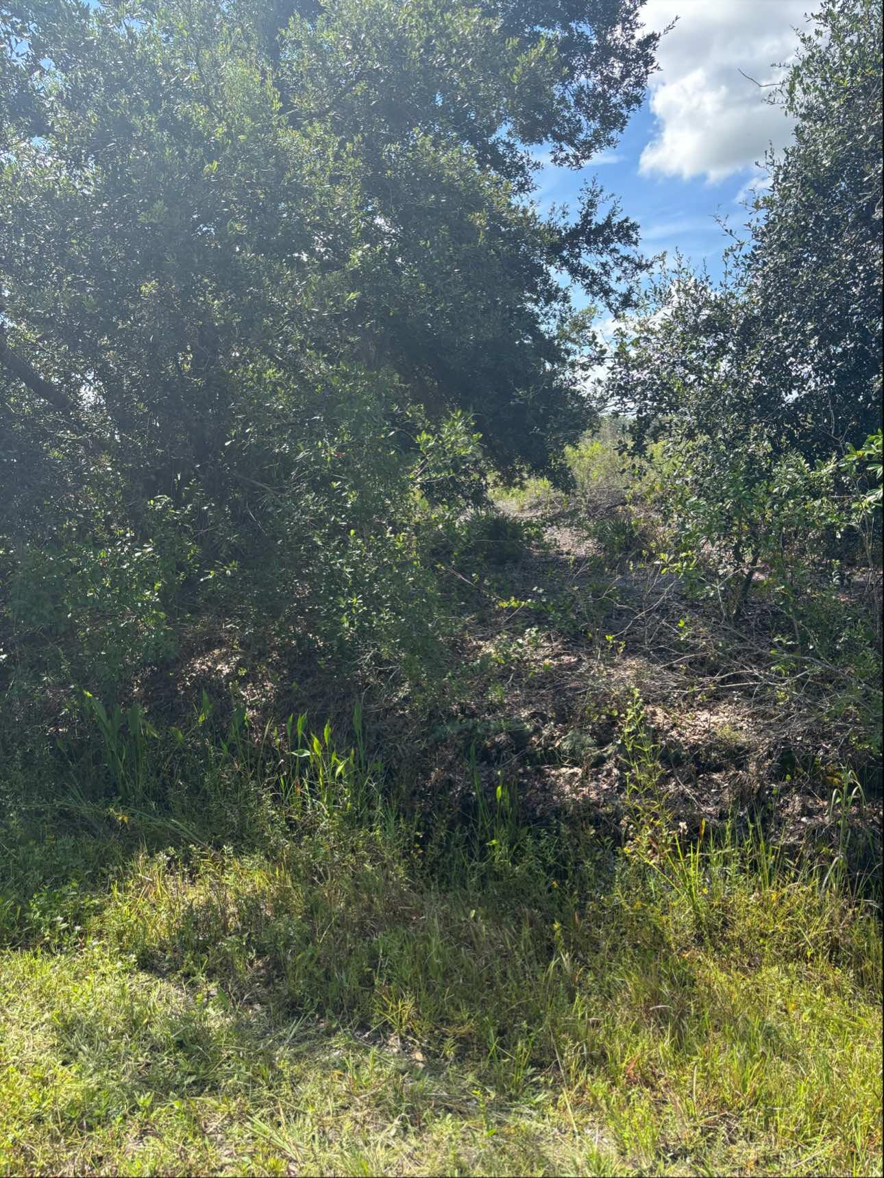 16014 Nw 282nd Street Property Photo 1