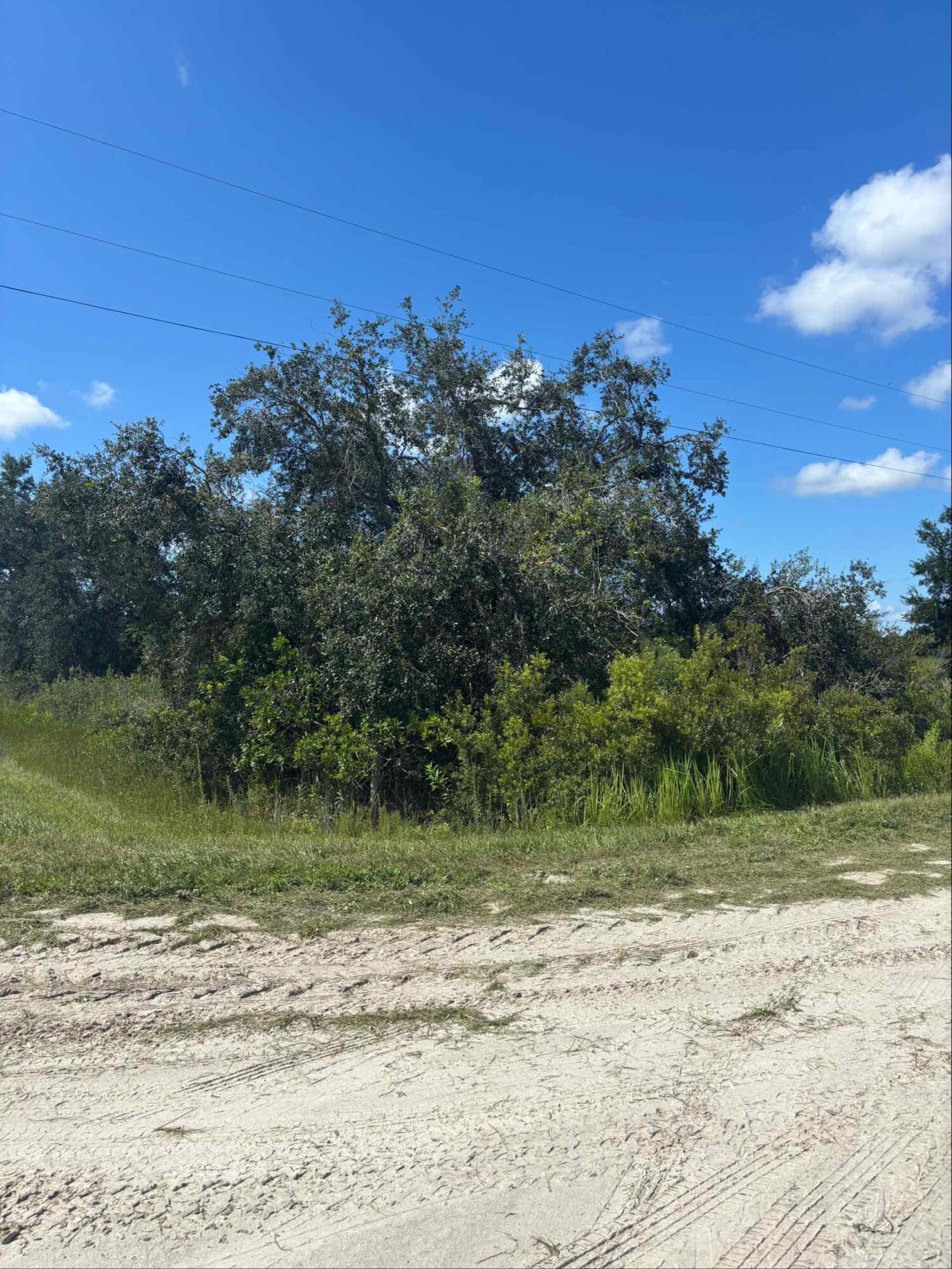 16014 Nw 282nd Street Property Photo 2