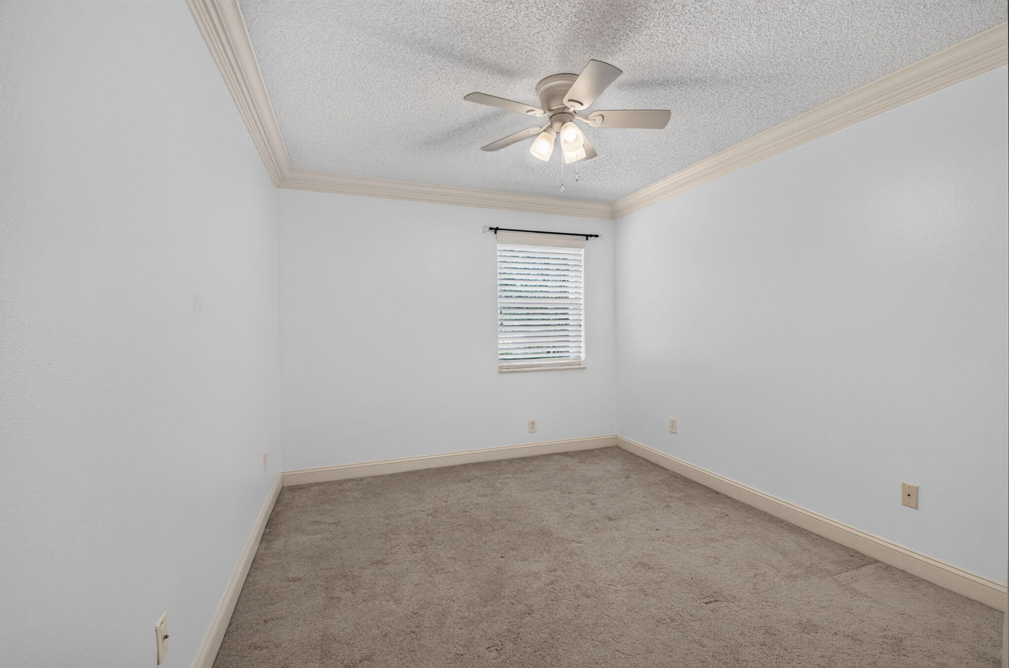 10894 Old Bridgeport Lane Property Photo 38