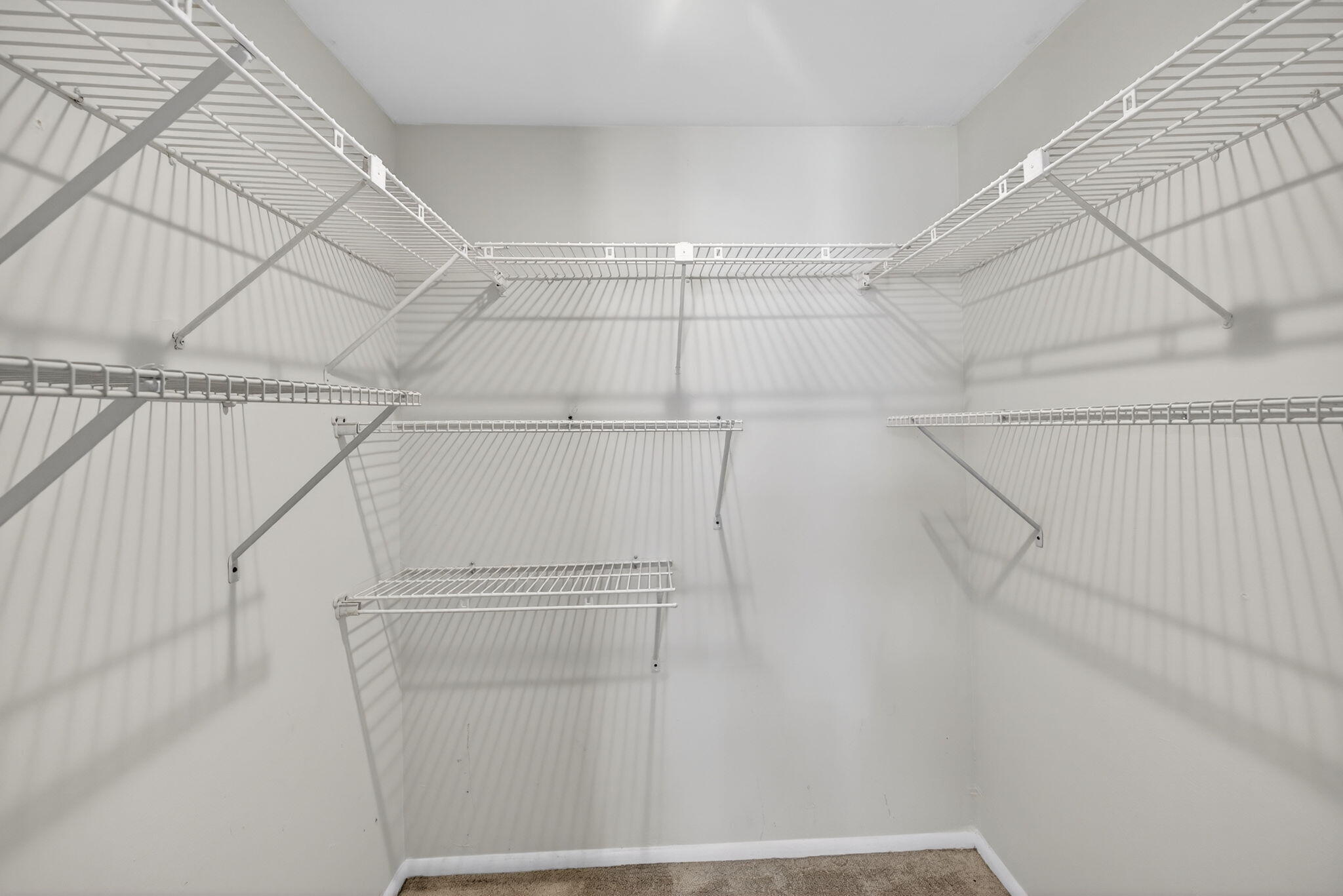 7925 S Colony Circle 203 Property Photo 17