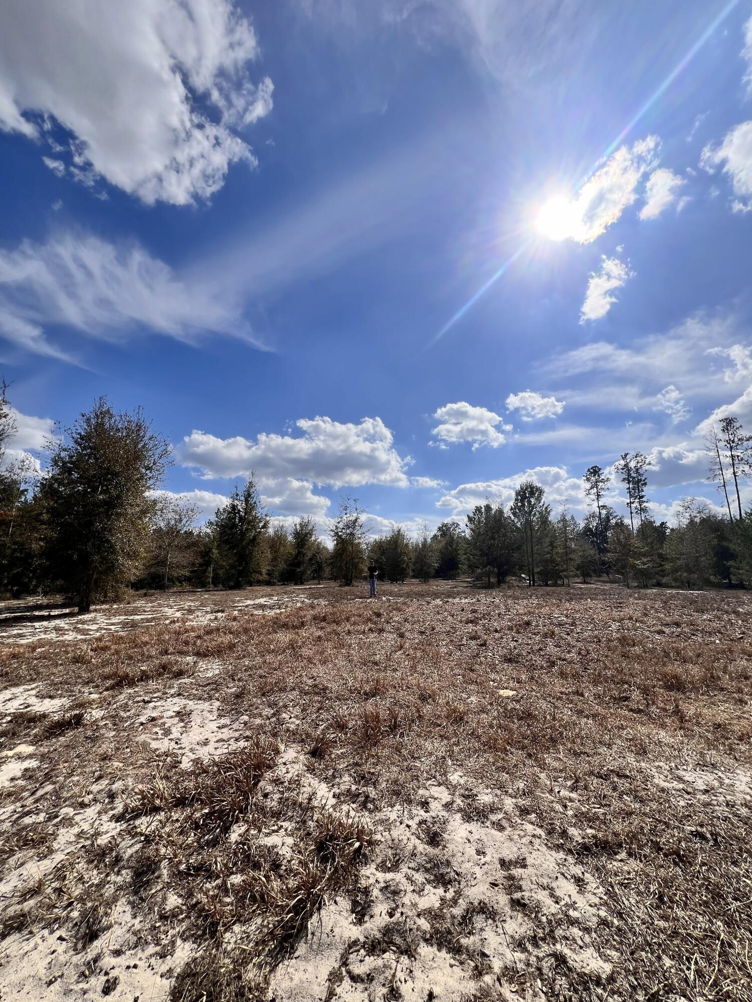 0 Root Road Property Photo 2