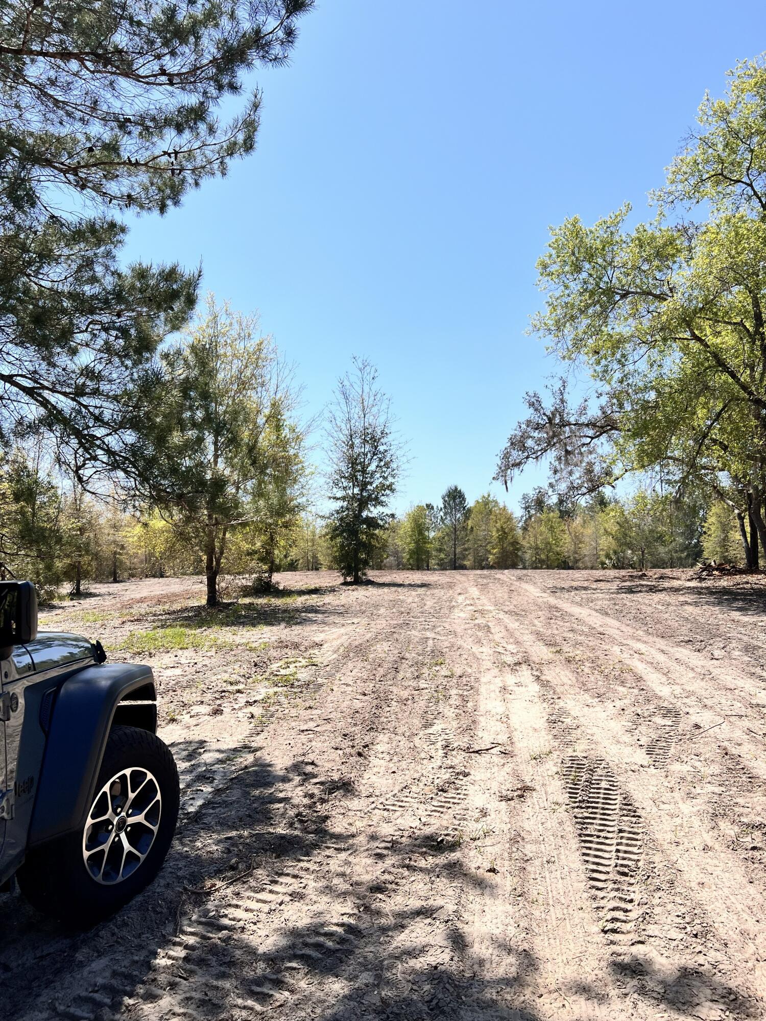 0 Root Road Property Photo 3