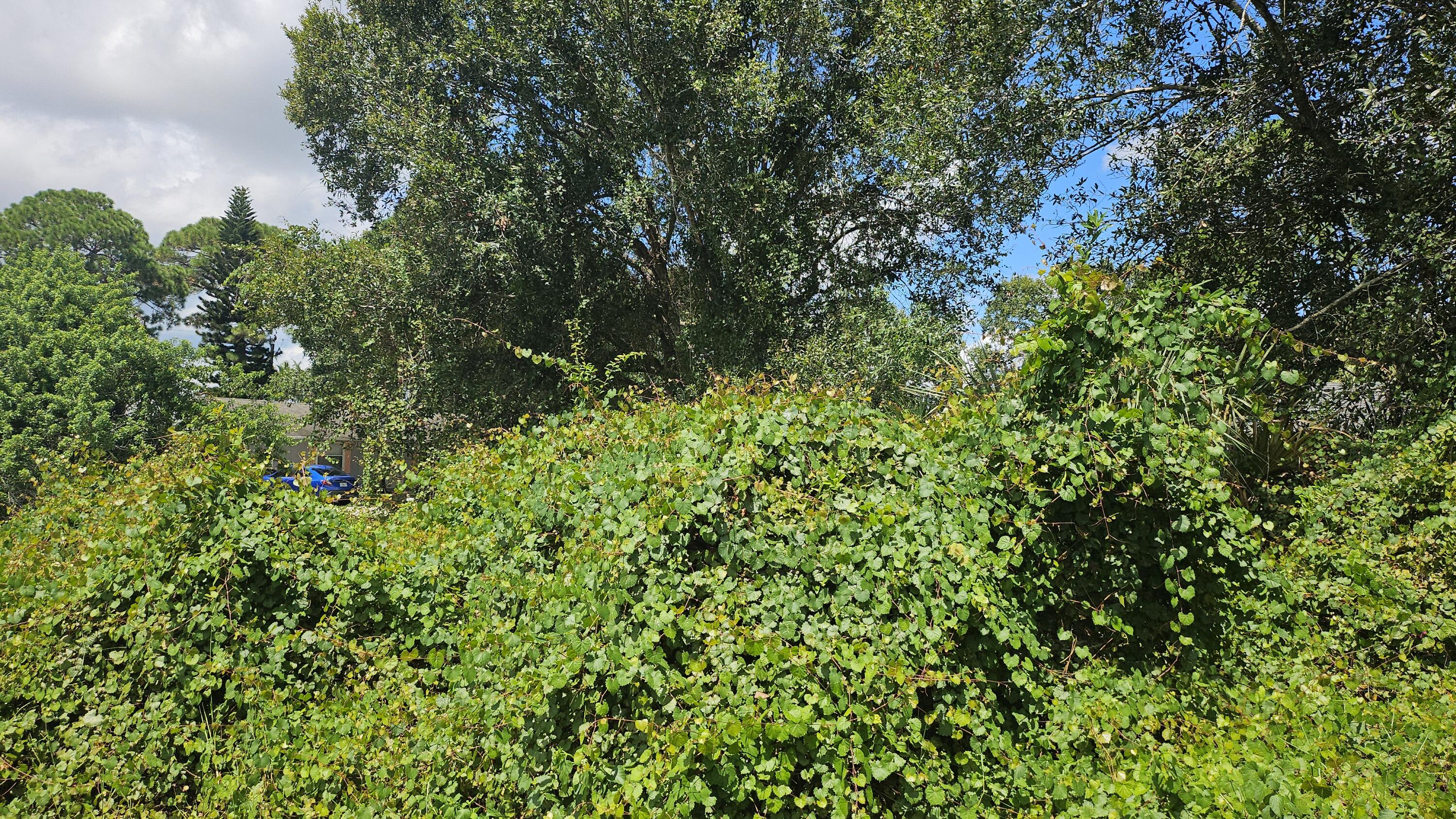 1785 Sw Day Street Property Photo 2